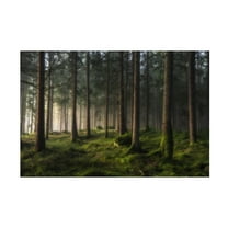 Canvas Wall Art - Benny Pettersson 'A Sense Of Spring' Wall Art for Living Room, Bedroom, or Office Décor by Trademark Fine Art - 19 x 12 Inches