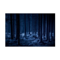 Canvas Wall Art - Benny Pettersson 'Spooky' Wall Art for Living Room, Bedroom, or Office Décor by Trademark Fine Art - 19 x 12 Inches