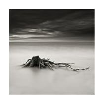 Canvas Wall Art - Benoit Thierard 'Immortel' Wall Art for Living Room, Bedroom, or Office Décor by Trademark Fine Art - 14 x 14 Inches