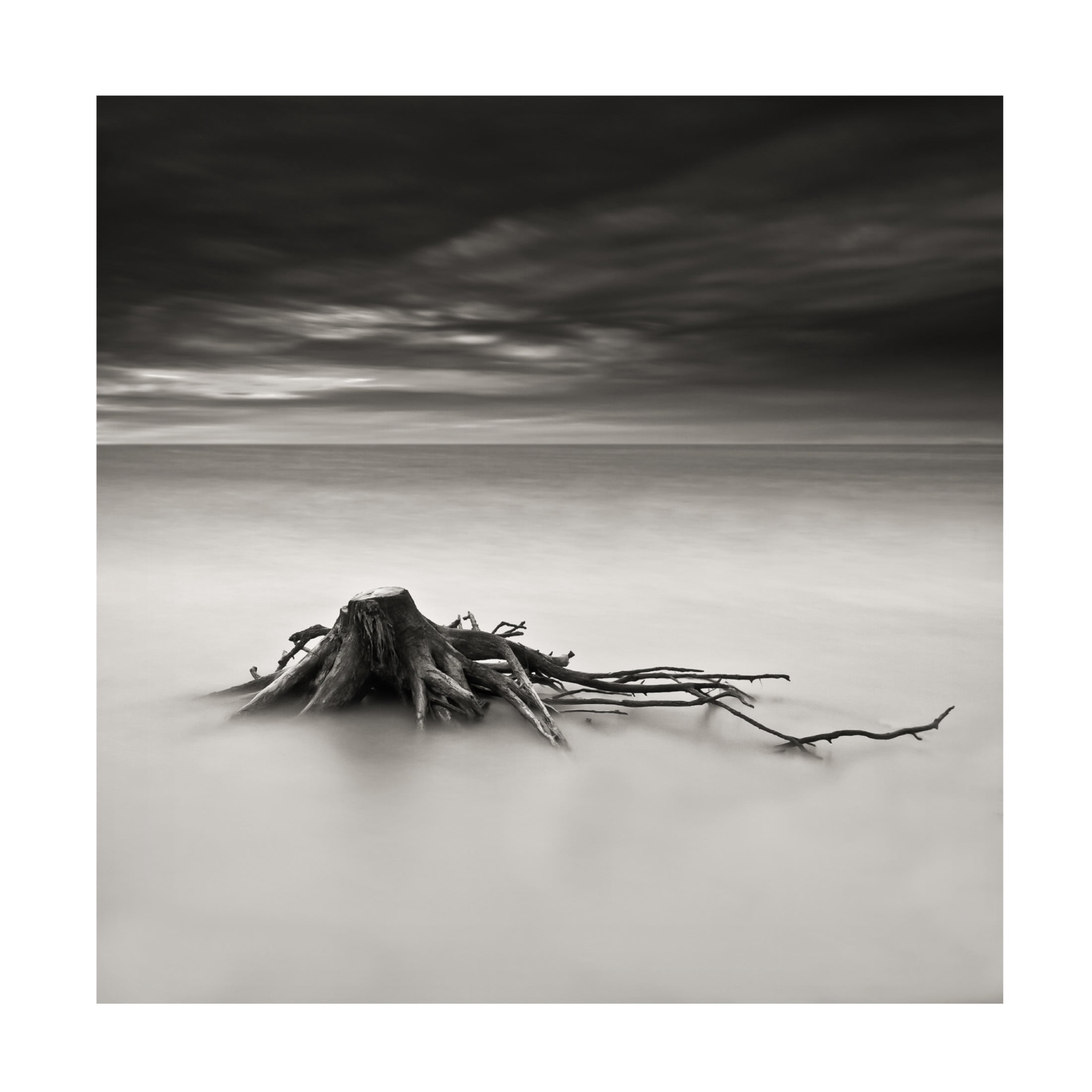 Canvas Wall Art - Benoit Thierard 'Immortel' Wall Art for Living Room, Bedroom, or Office D?cor by Trademark Fine Art - 35 x 35 Inches