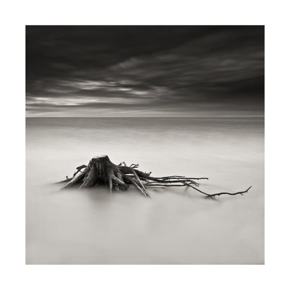 Canvas Wall Art - Benoit Thierard 'Immortel' Wall Art for Living Room, Bedroom, or Office D?cor by Trademark Fine Art - 35 x 35 Inches