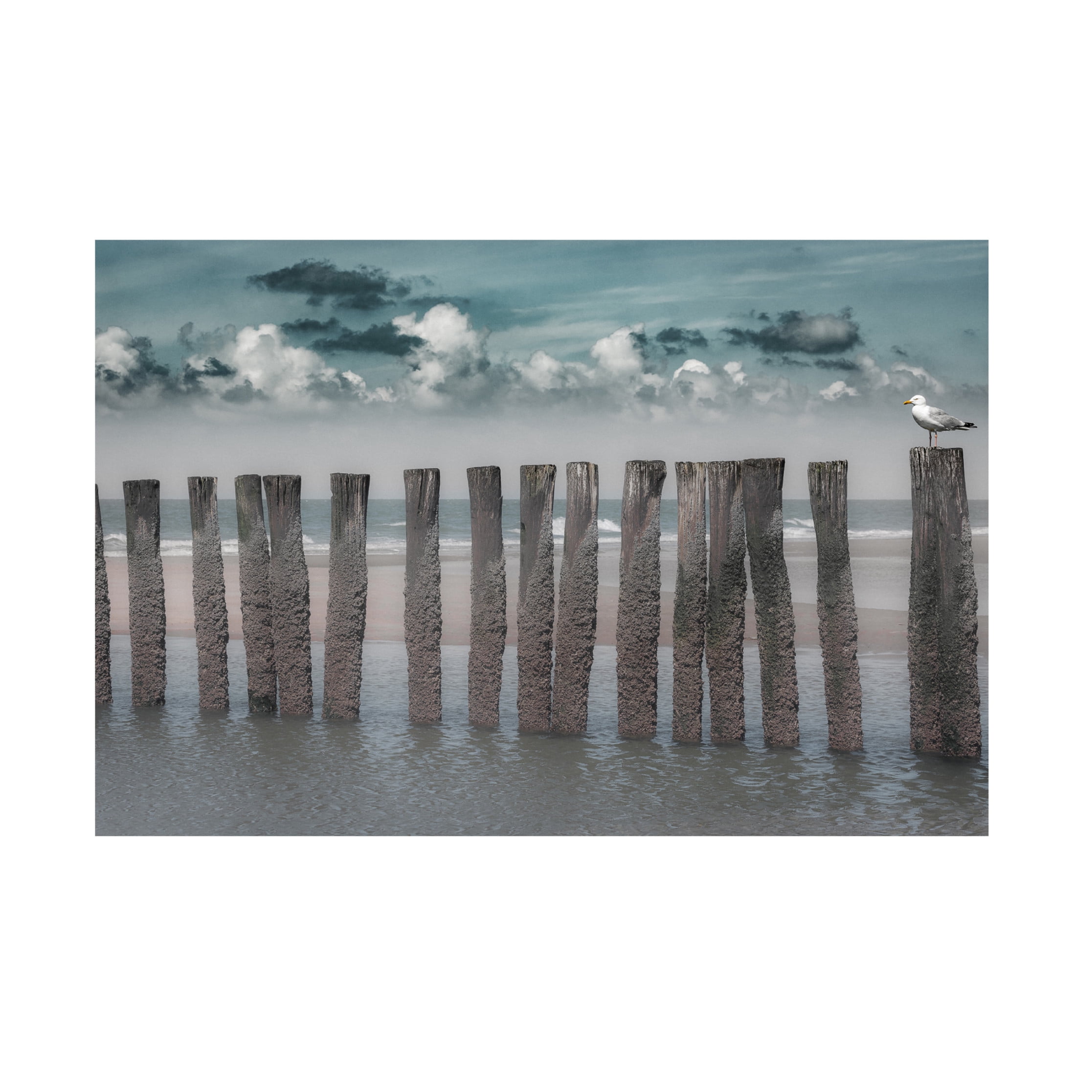 Canvas Wall Art - Bernardine de Laat 'Beach Bars' Wall Art for Living Room, Bedroom, or Office Décor by Trademark Fine Art - 47 x 30 Inches