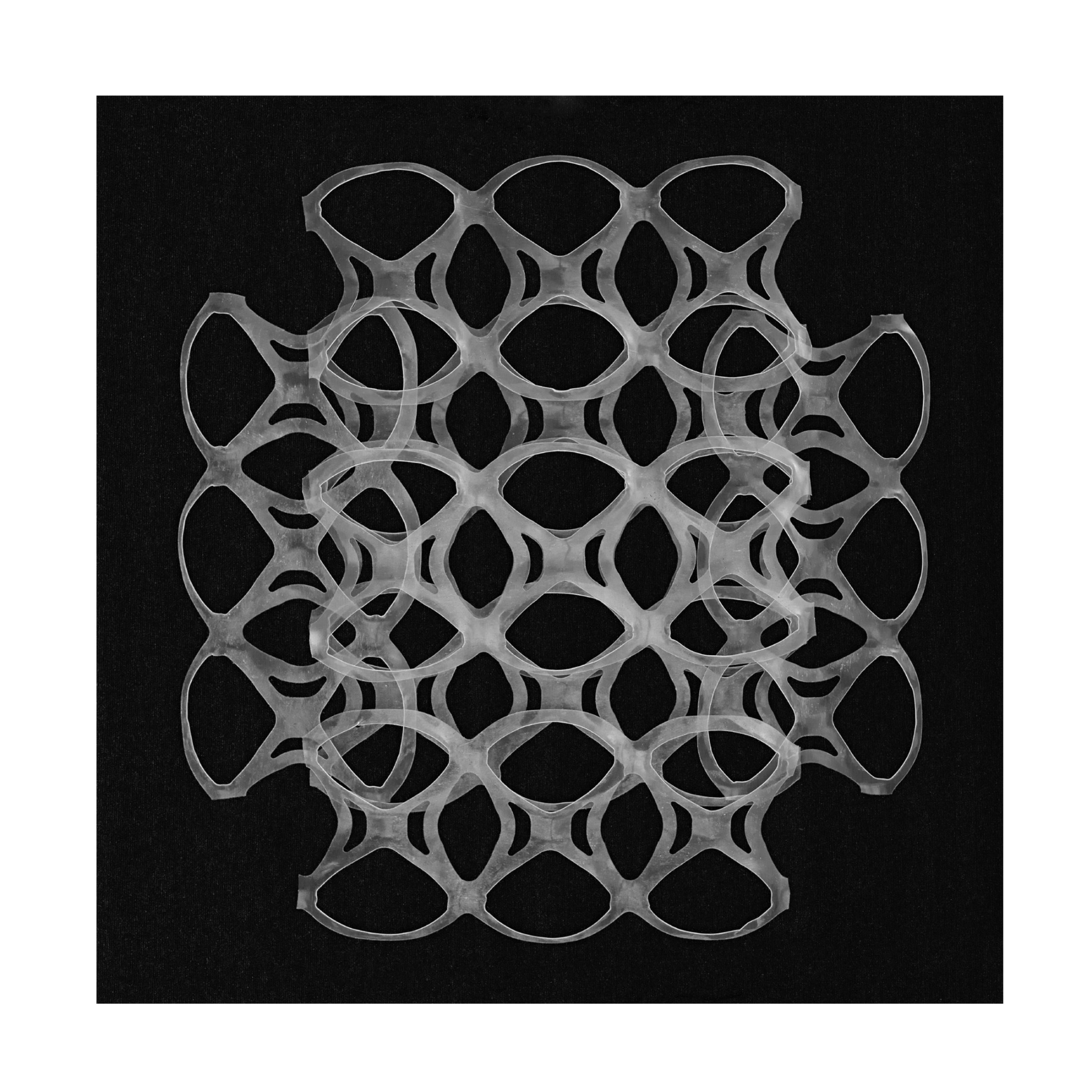 Canvas Wall Art - Berry Rosenthal 'Six Pack Holders II' Wall Art for Living Room, Bedroom, or Office Décor by Trademark Fine Art - 14 x 14 Inches