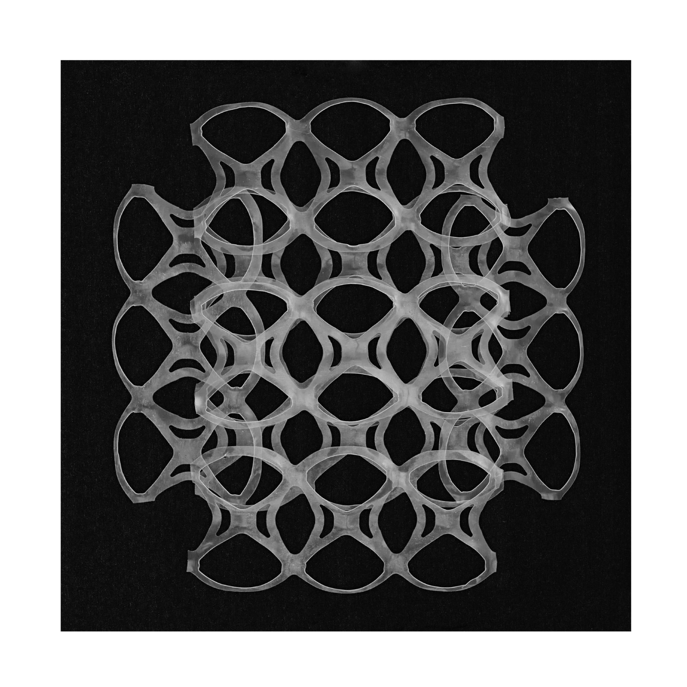 Canvas Wall Art - Berry Rosenthal 'Six Pack Holders II' Wall Art for Living Room, Bedroom, or Office Décor by Trademark Fine Art - 24 x 24 Inches