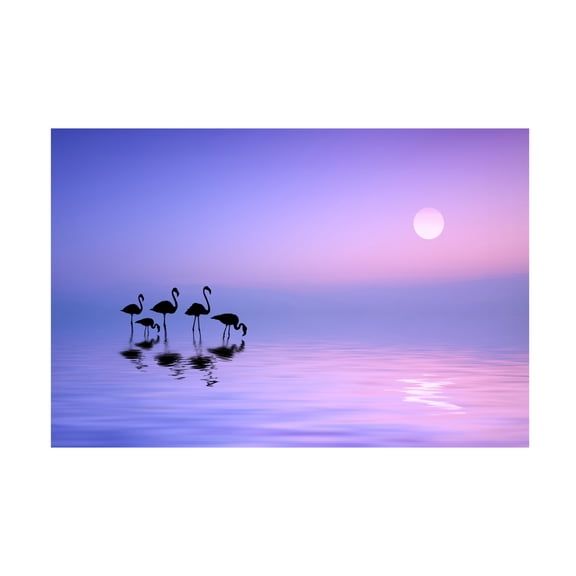 Canvas Wall Art - Bess Hamiti 'Morning Flamingo' Wall Art for Living Room, Bedroom, or Office D?cor by Trademark Fine Art - 19 x 12 Inches