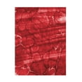 thumbnail image 1 of Canvas Wall Art - Bilge Paksoylu 'Ebru Red440' Wall Art for Living Room, Bedroom, or Office Décor by Trademark Fine Art - 14 x 19 Inches, 1 of 4