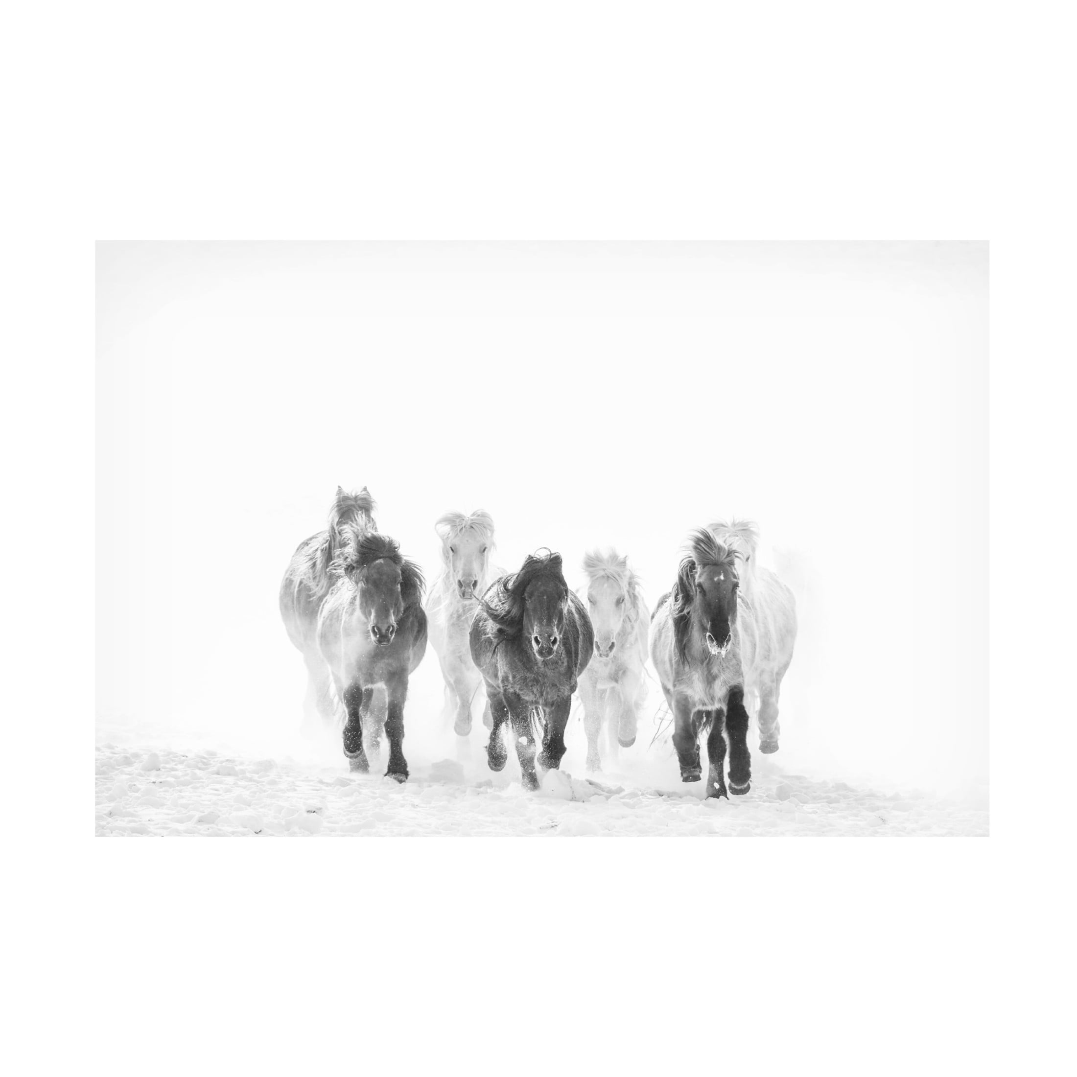 Canvas Wall Art - Bingo Z 'Running In The Snow' Wall Art for Living Room, Bedroom, or Office Décor by Trademark Fine Art - 32 x 22 Inches