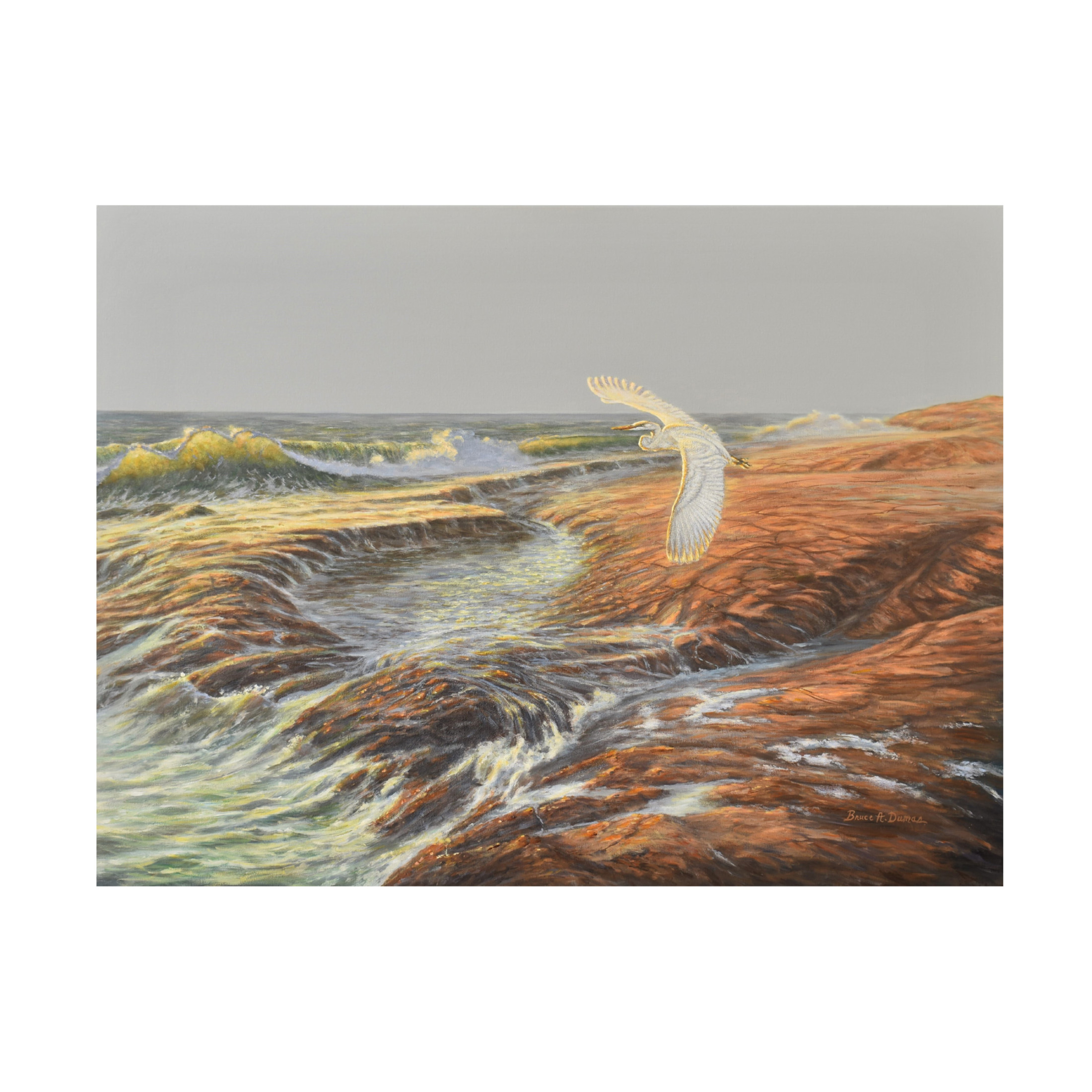 Canvas Wall Art - Bruce Dumas 'Majestic Wind Rider' Wall Art for Living Room, Bedroom, or Office Décor by Trademark Fine Art - 32 x 24 Inches