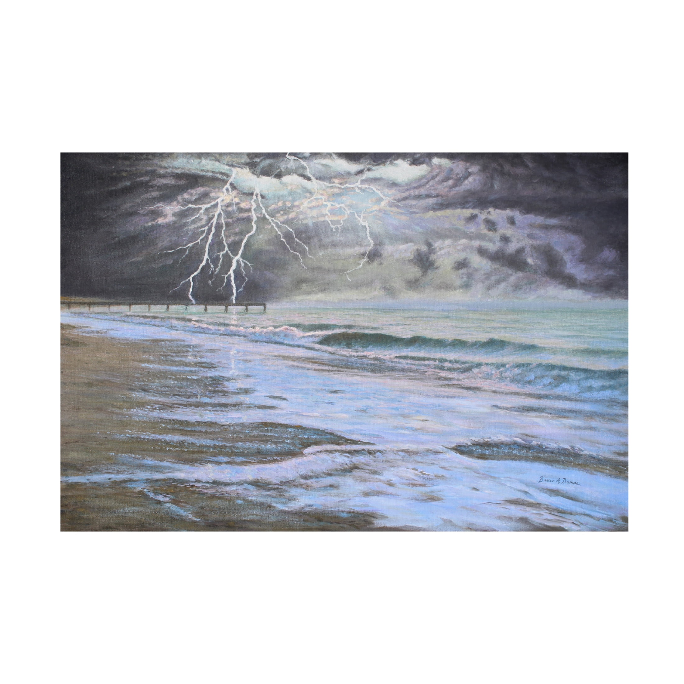Canvas Wall Art - Bruce Dumas 'Stormy' Wall Art for Living Room, Bedroom, or Office Décor by Trademark Fine Art - 47 x 30 Inches
