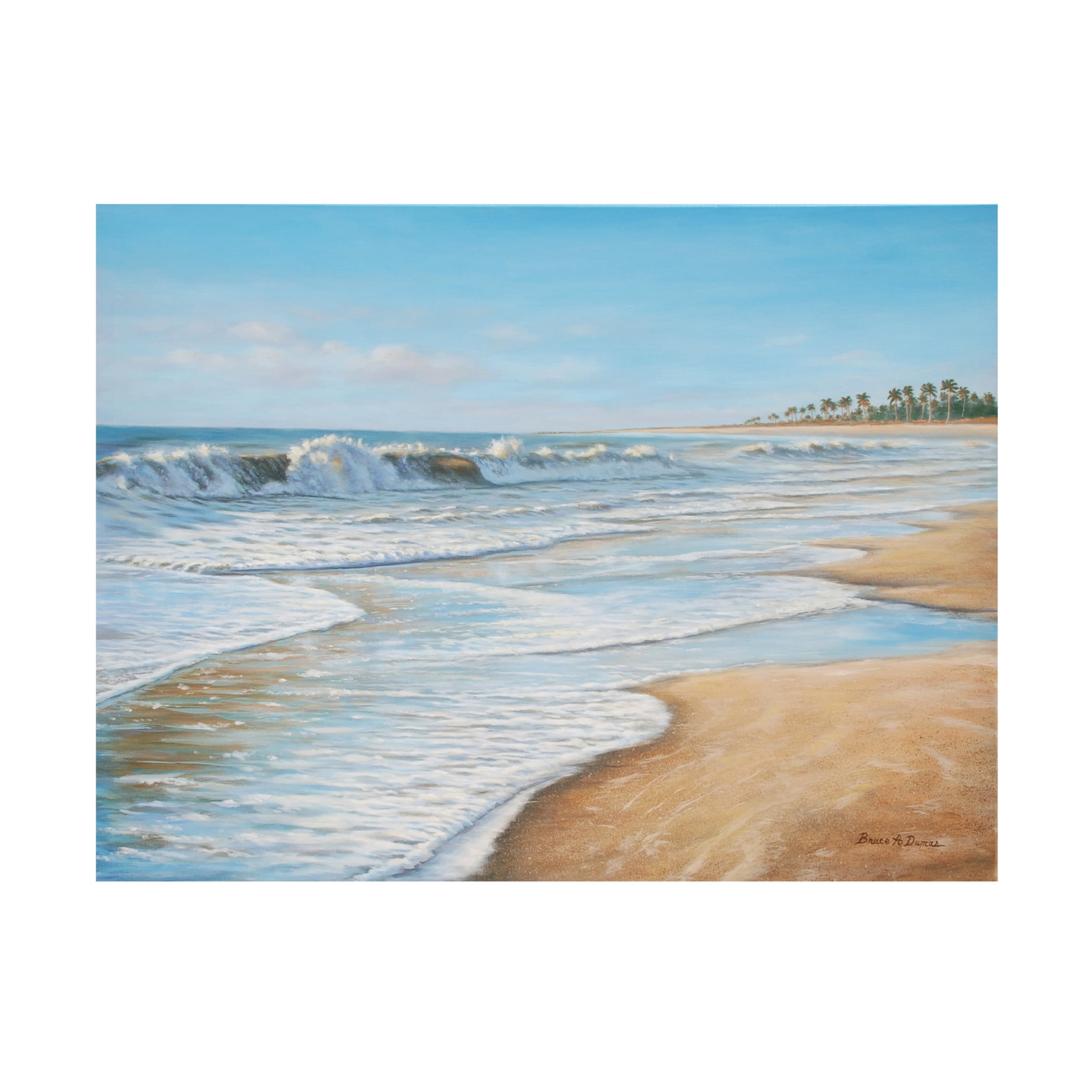 Canvas Wall Art - Bruce Dumas 'Wave Dancer' Wall Art for Living Room, Bedroom, or Office Décor by Trademark Fine Art - 32 x 24 Inches