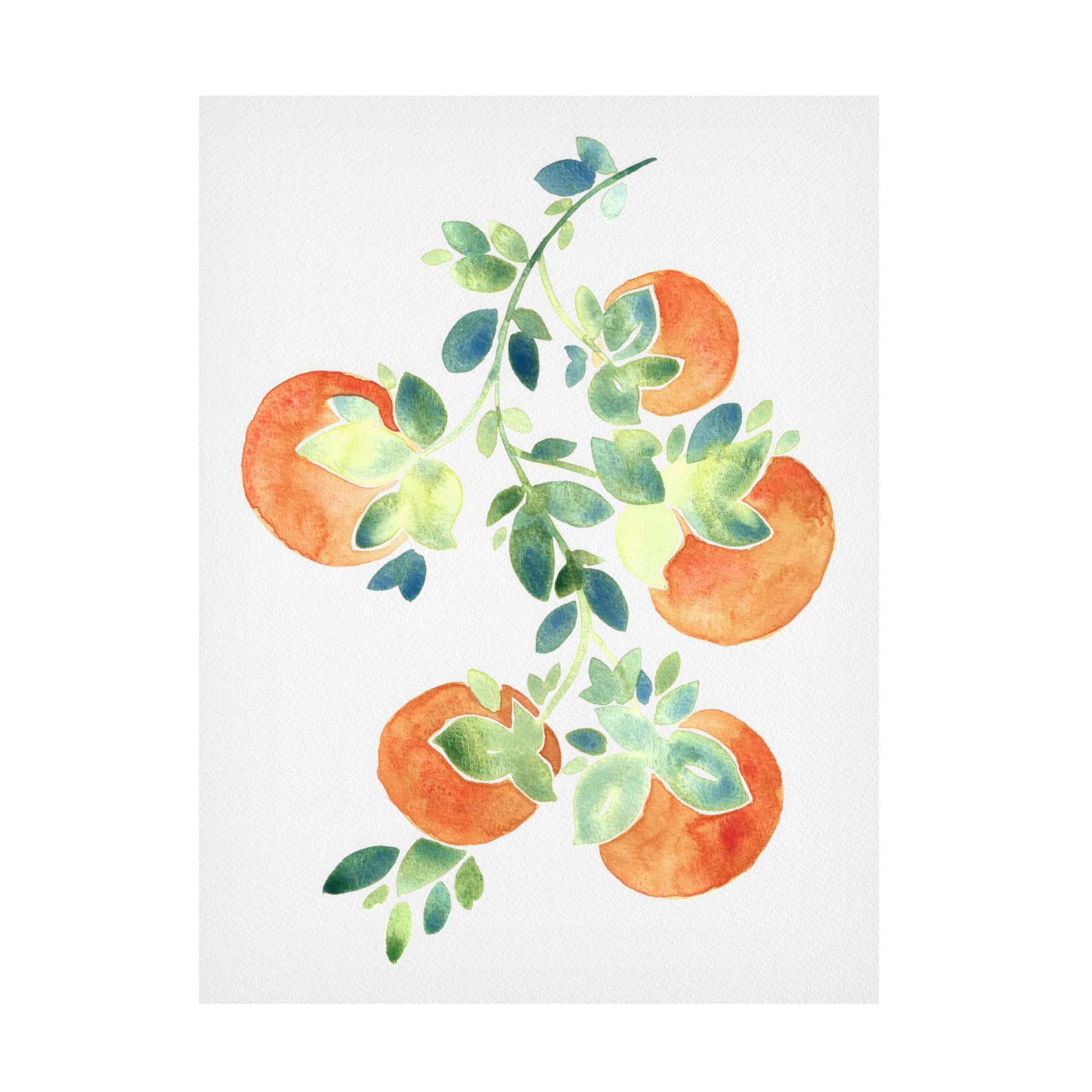 Canvas Wall Art - Cami Juncos 'Watercolor Oranges' Wall Art for Living Room, Bedroom, or Office Décor by Trademark Fine Art - 18 x 24 Inches