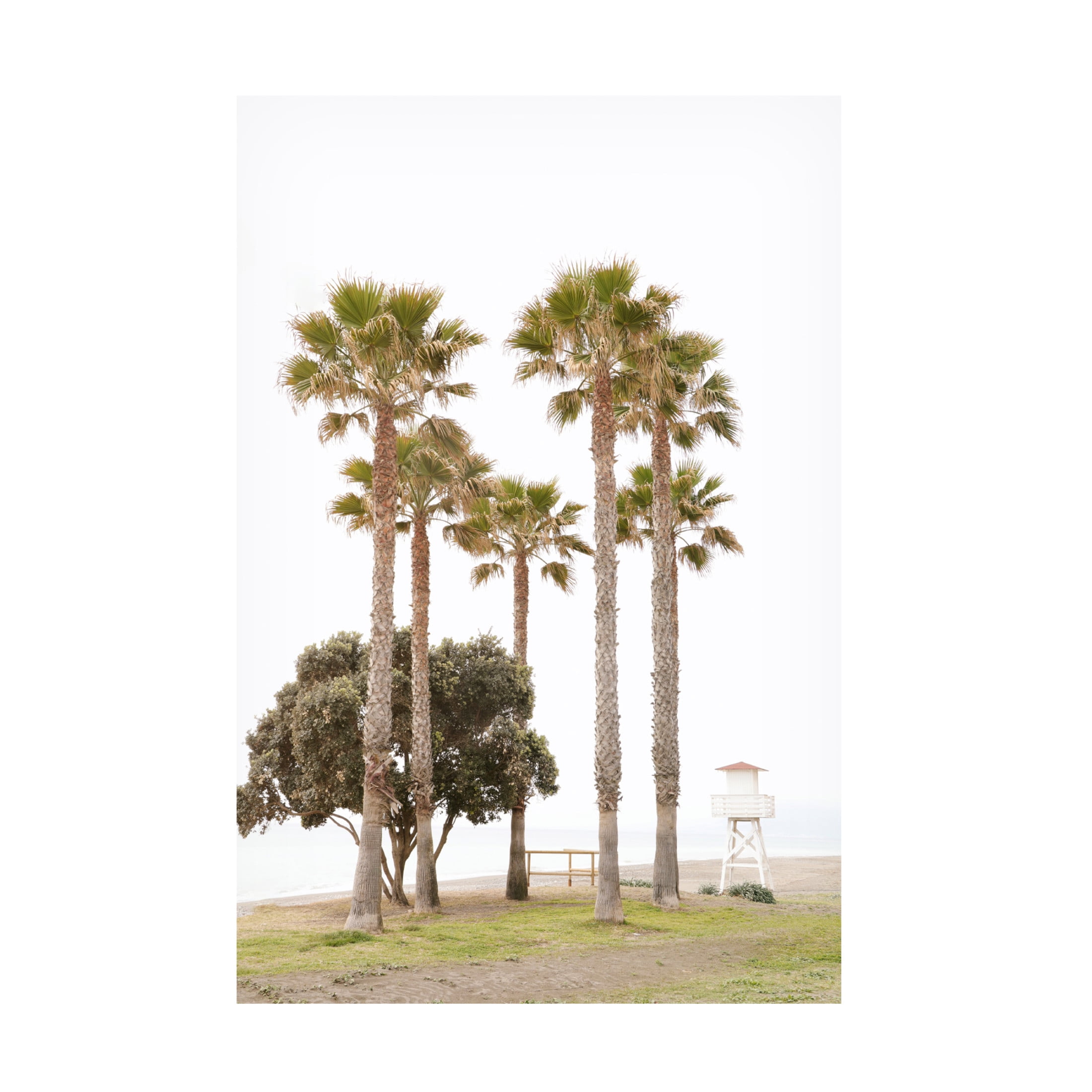 Canvas Wall Art - Carina Okula 'Mediterranean Mirage' Wall Art for Living Room, Bedroom, or Office Décor by Trademark Fine Art - 30 x 47 Inches