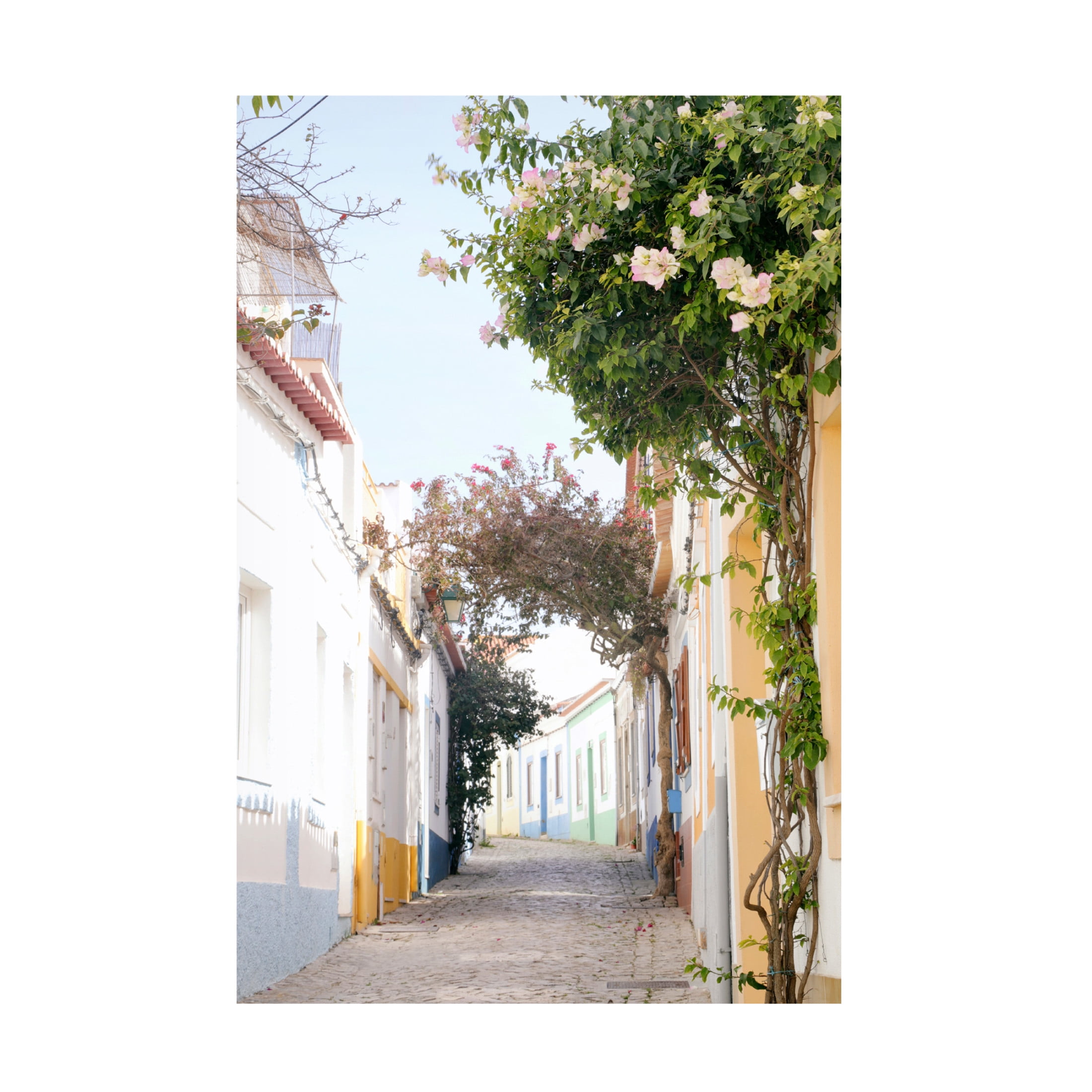 Canvas Wall Art - Carina Okula 'Portuguese Perfection' Wall Art for Living Room, Bedroom, or Office Décor by Trademark Fine Art - 16 x 24 Inches