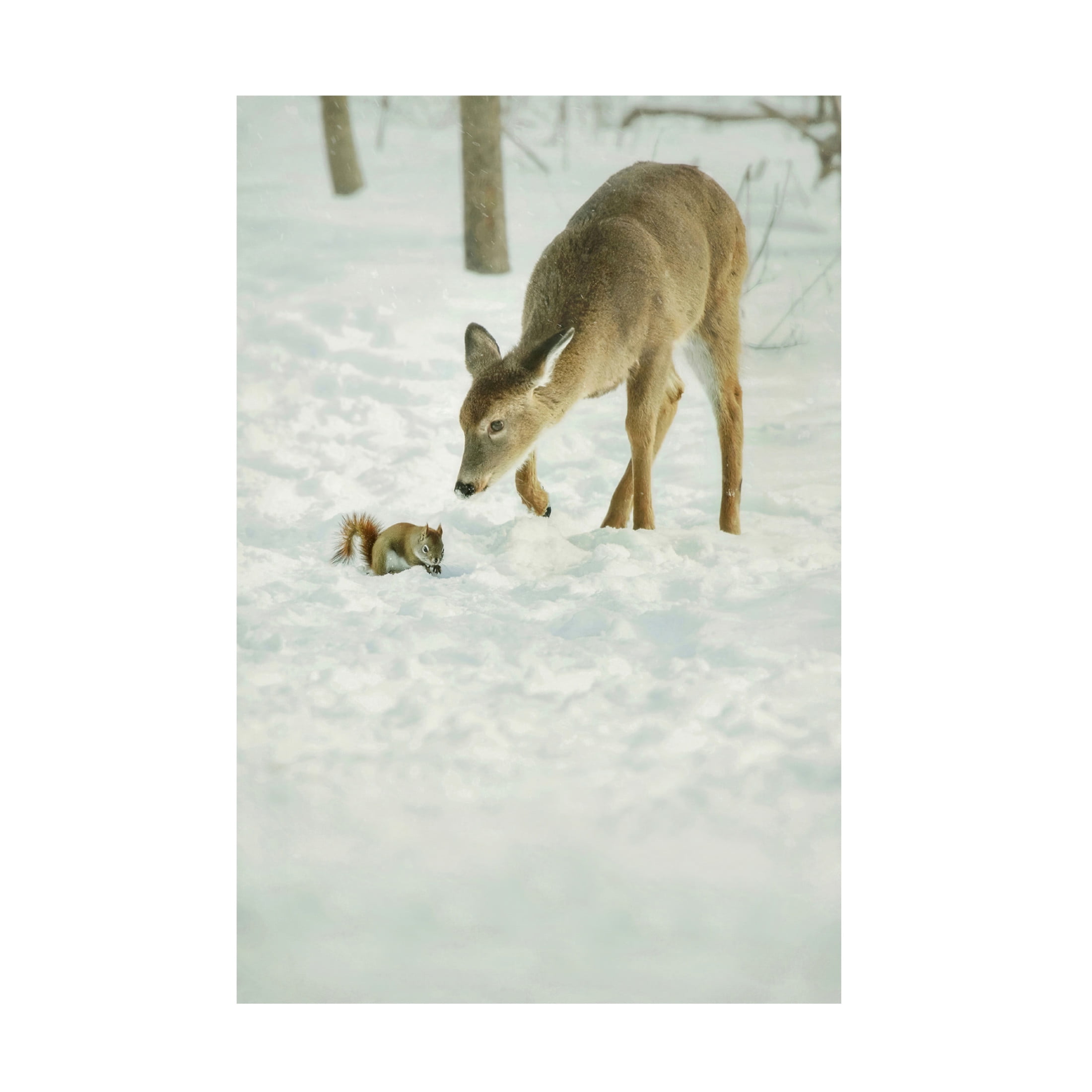 Winter Deer and Squirrel Scene Canvas Wall Art 16 x 24 Inches