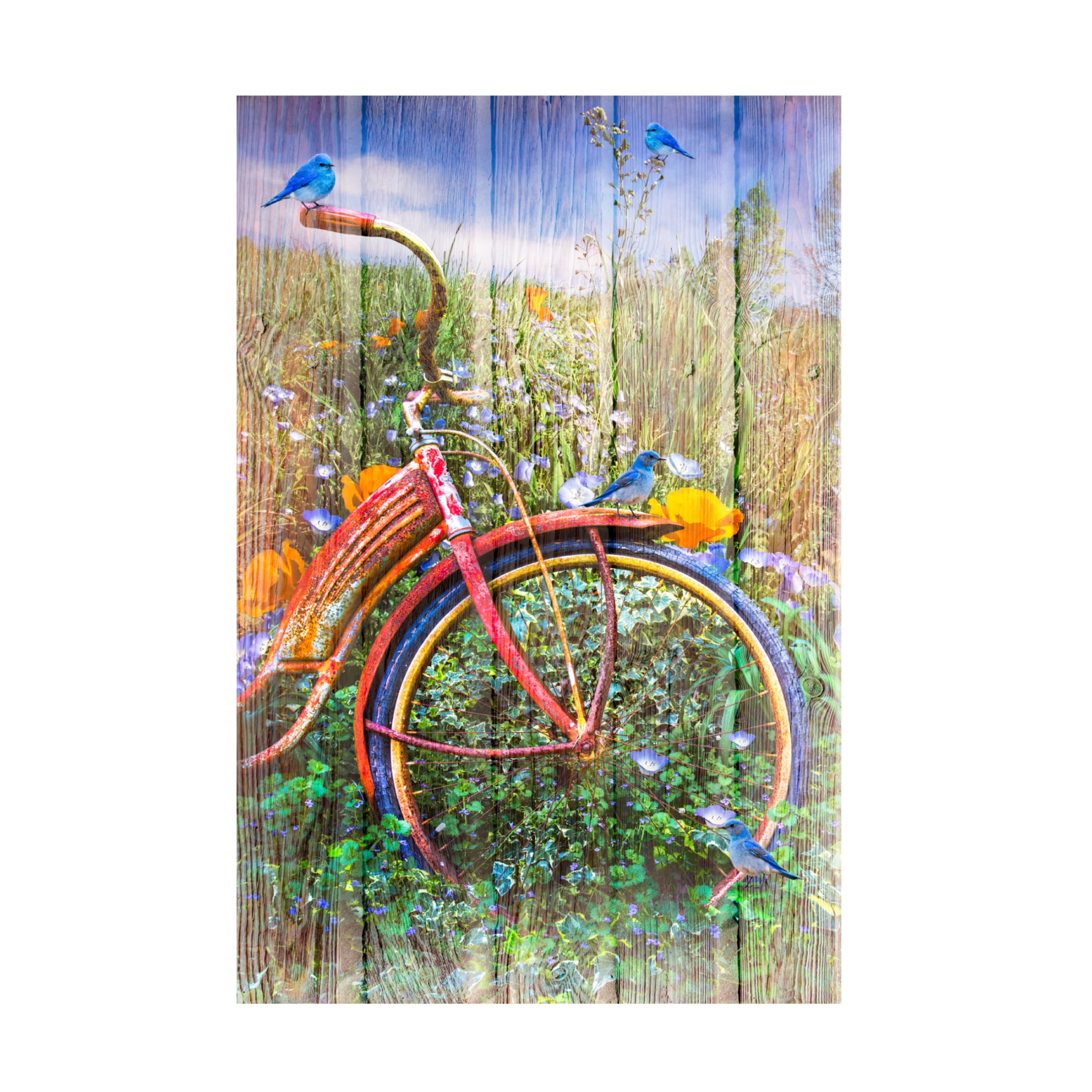 Canvas Wall Art - Celebrate Life Gallery 'Bluebirds on a Bicycle' Wall Art for Living Room, Bedroom, or Office Décor by Trademark Fine Art - 30 x 47 Inches
