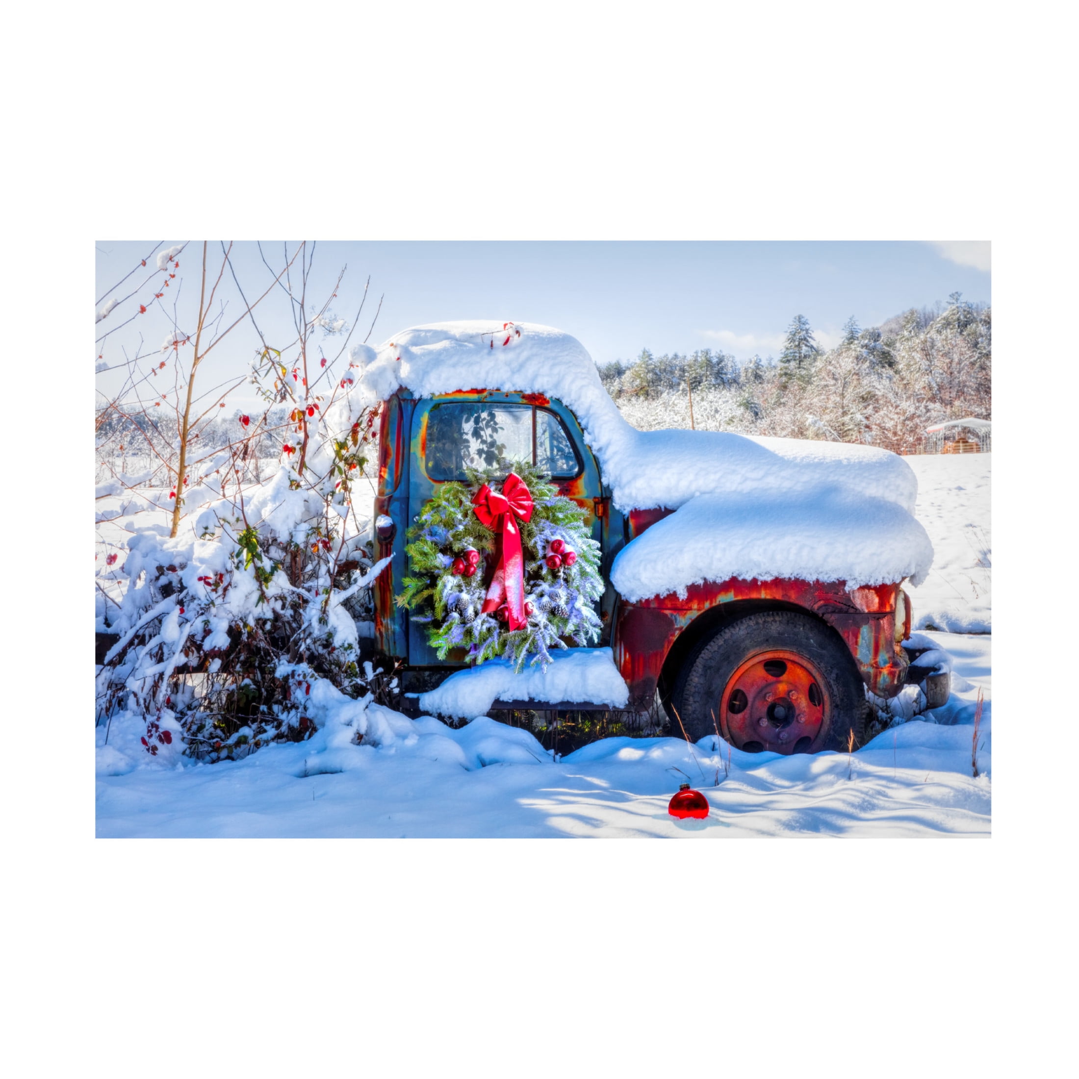 Canvas Wall Art - Celebrate Life Gallery 'Covered in Snow' Wall Art for Living Room, Bedroom, or Office Décor by Trademark Fine Art - 24 x 16 Inches