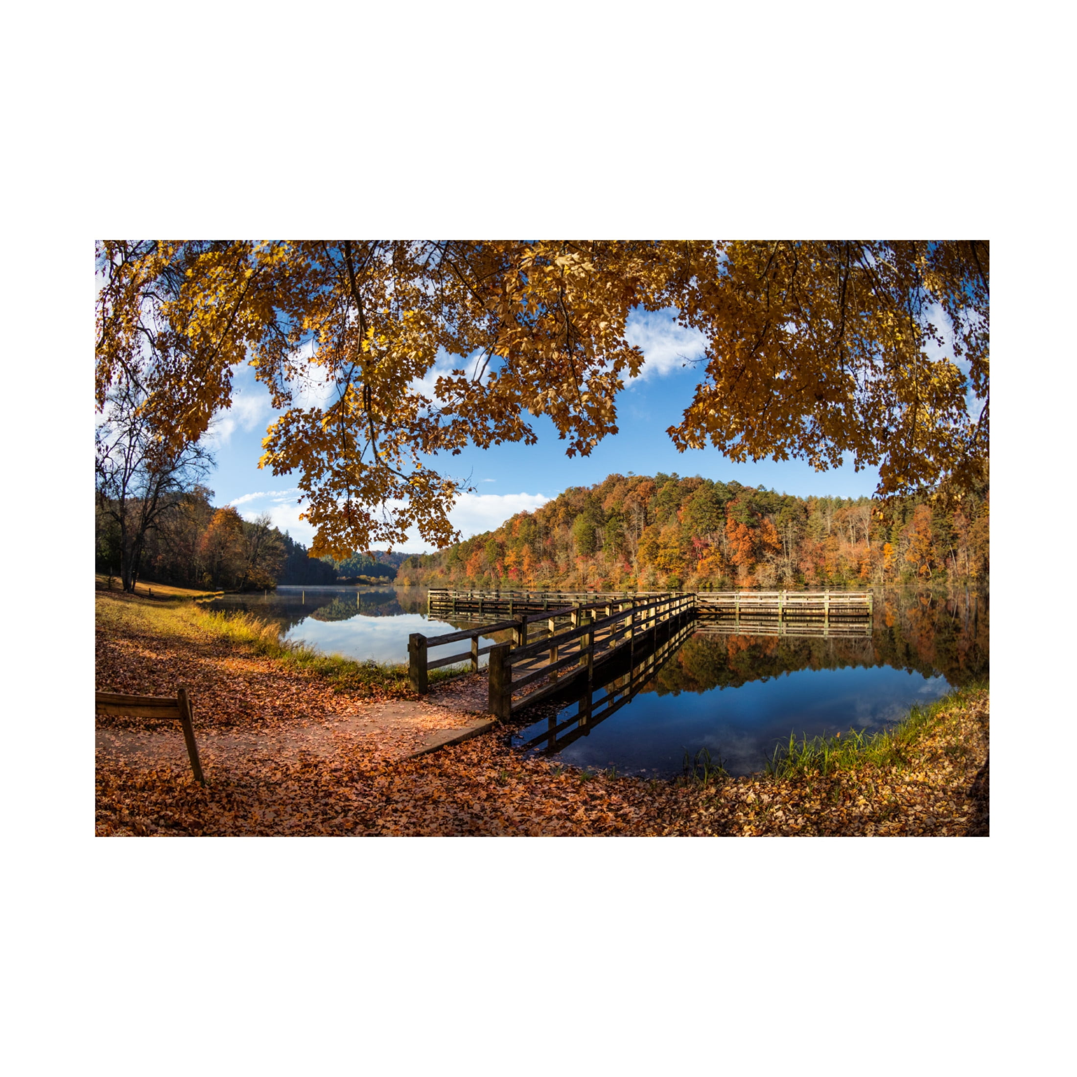 Canvas Wall Art - Celebrate Life Gallery 'Maple Trees at the Docks' Wall Art for Living Room, Bedroom, or Office Décor by Trademark Fine Art - 47 x 30 Inches