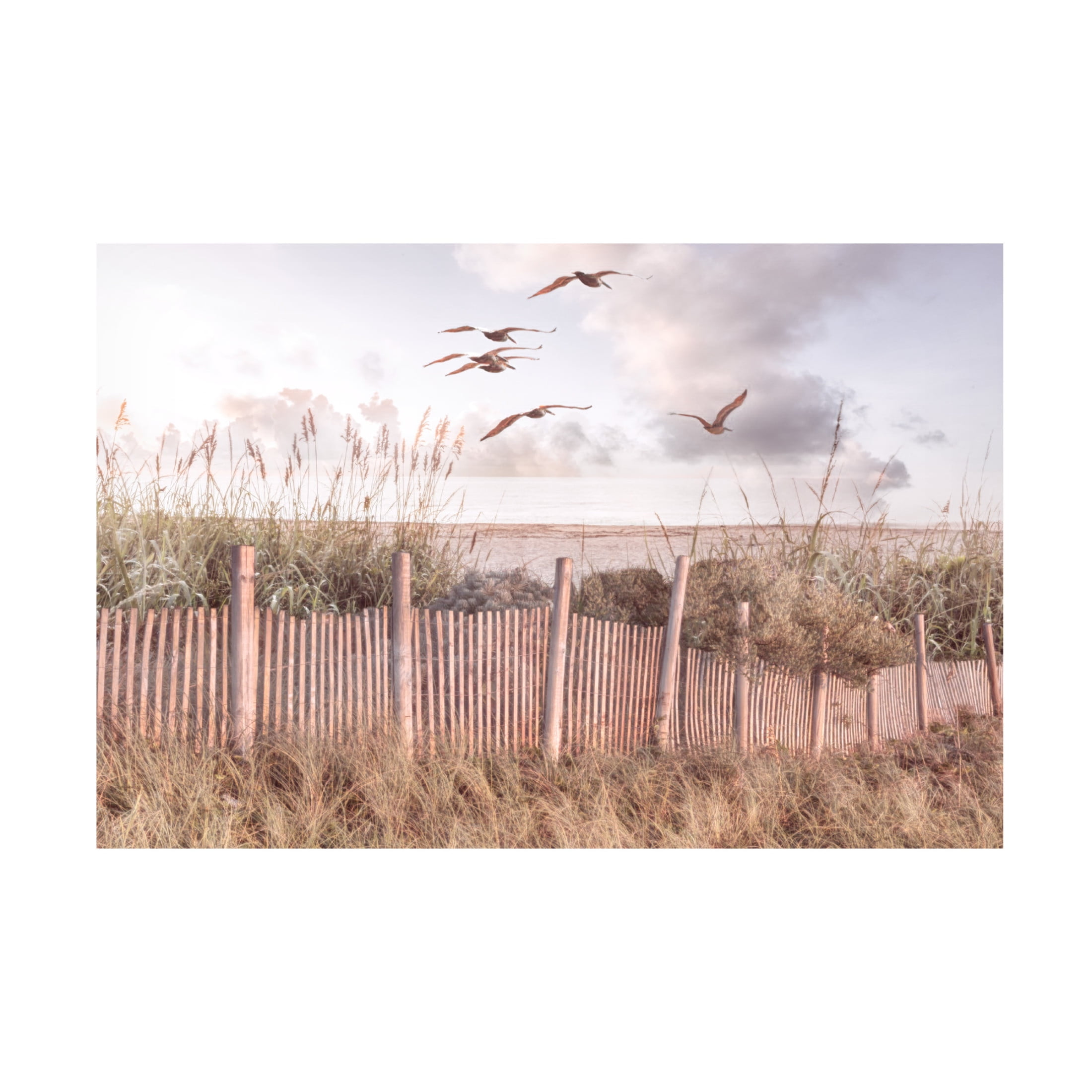 Canvas Wall Art - Celebrate Life Gallery 'Sailing Over the Beach Dunes' Wall Art for Living Room, Bedroom, or Office Décor by Trademark Fine Art - 47 x 30 Inches