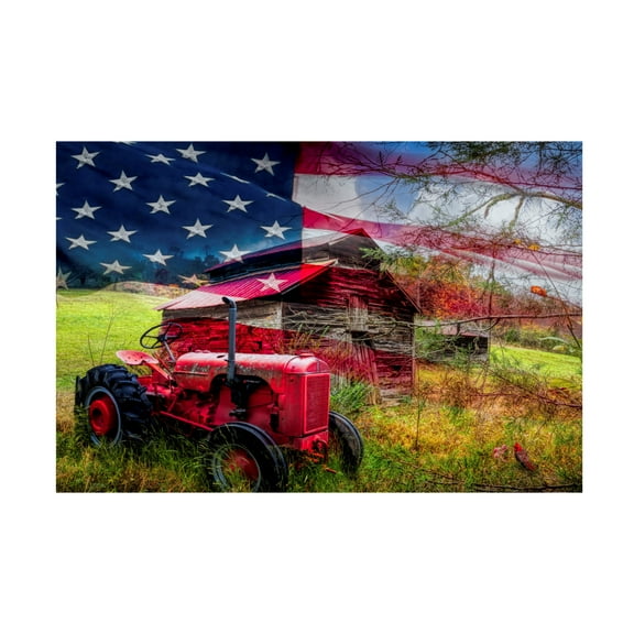 Canvas Wall Art - Celebrate Life Gallery 'Stars and Stripes Forever' Wall Art for Living Room, Bedroom, or Office Décor by Trademark Fine Art - 19 x 12 Inches