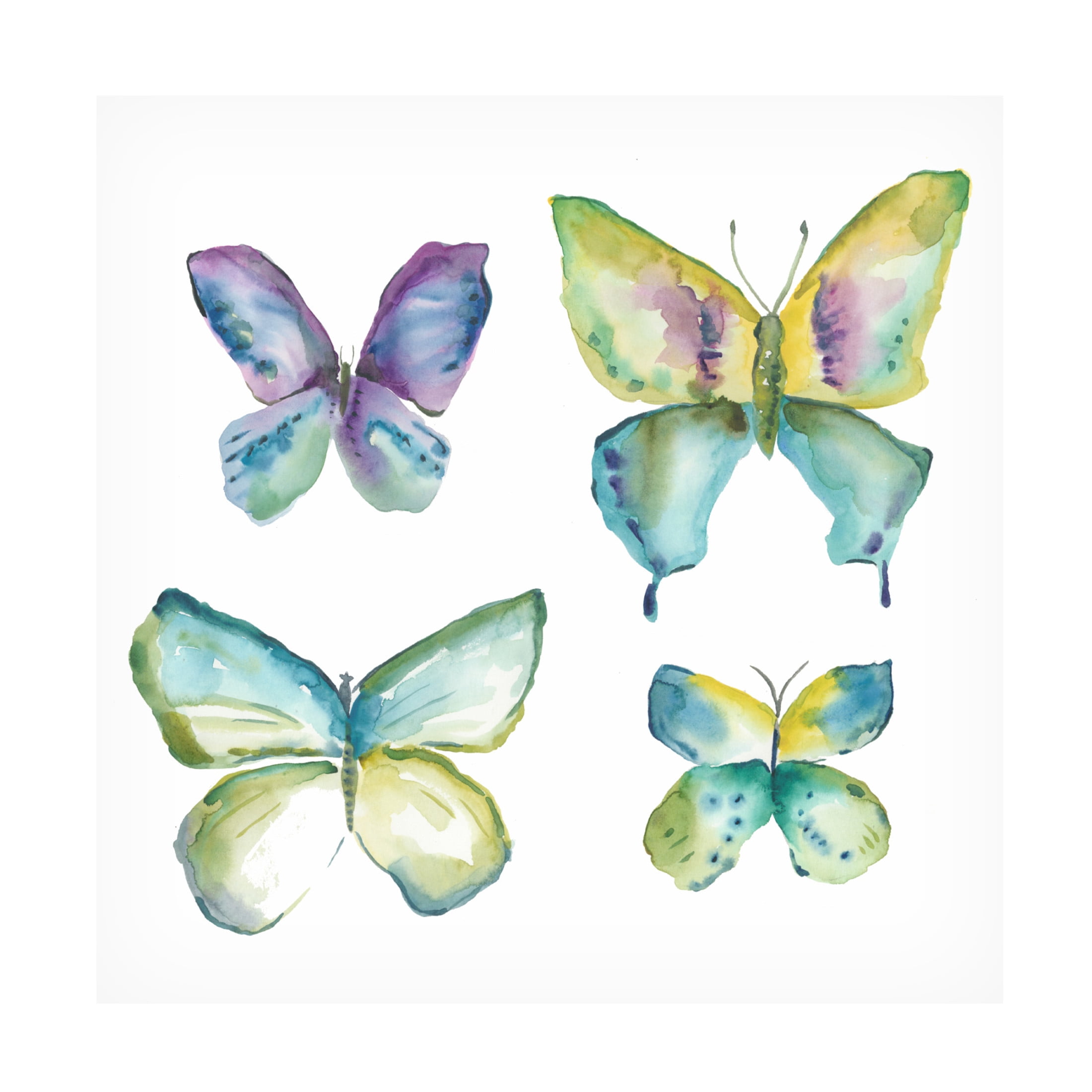 Canvas Wall Art - Chariklia Zarris 'Jeweled Butterflies II' Wall Art for Living Room, Bedroom, or Office Décor by Trademark Fine Art - 24 x 24 Inches