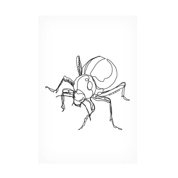 Canvas Wall Art - Cherie Roe Dirksen 'Toktokkie Beetle' Wall Art for Living Room, Bedroom, or Office Décor by Trademark Fine Art - 12 x 19 Inches