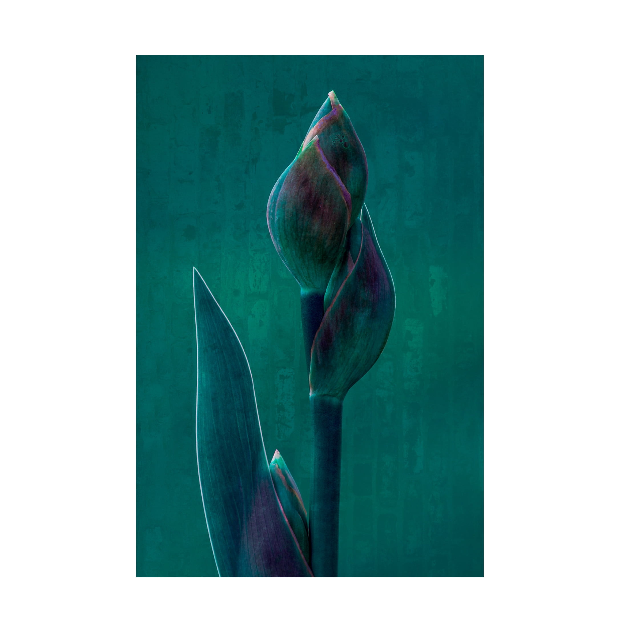 Canvas Wall Art - Chris Hamilton 'Blue Charade ' Wall Art for Living Room, Bedroom, or Office Décor by Trademark Fine Art - 12 x 19 Inches
