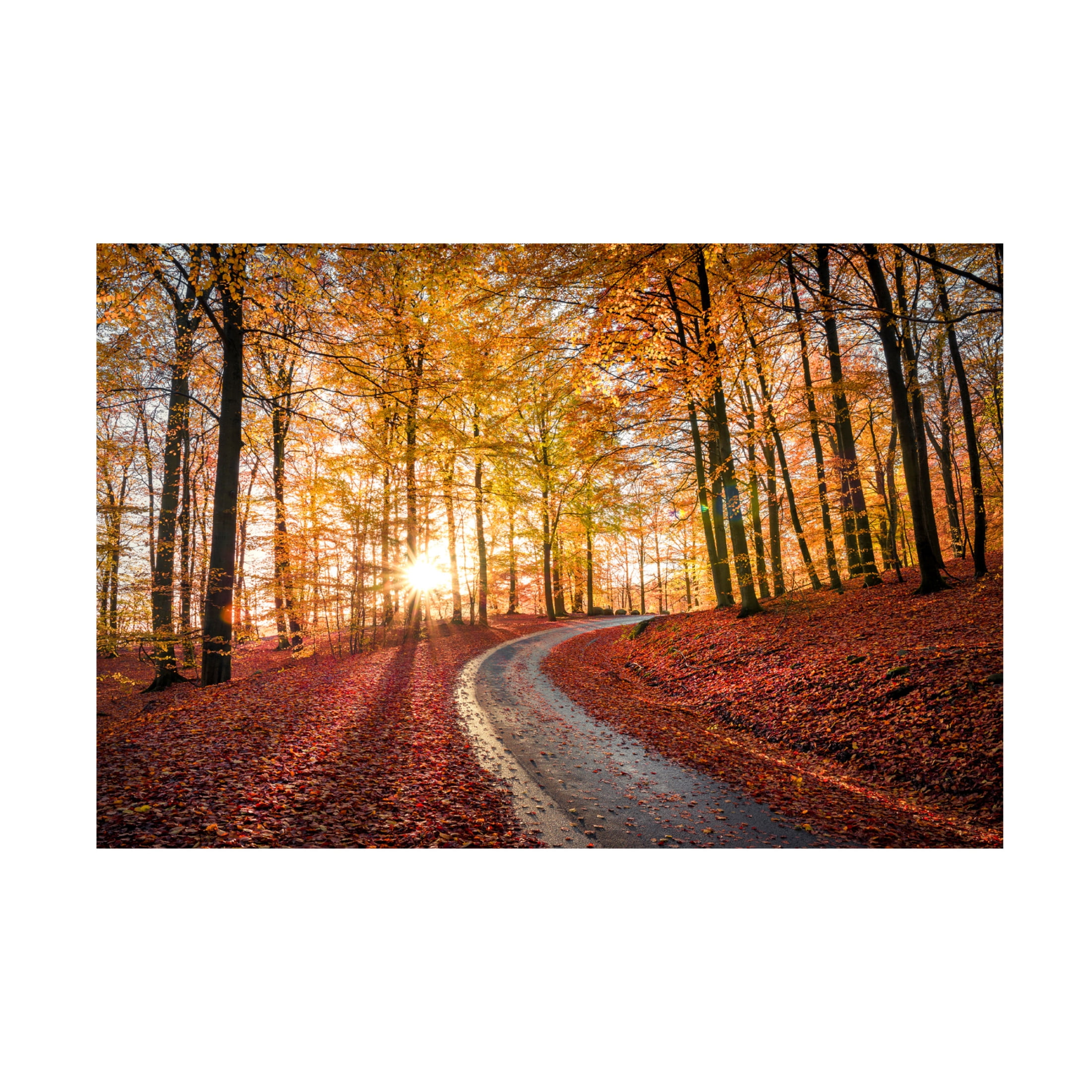 Canvas Wall Art - Christian Lindsten 'Road In Sapderaysen Nationalpark, Sweden' Wall Art for Living Room, Bedroom, or Office Décor by Trademark Fine Art - 19 x 12 Inches