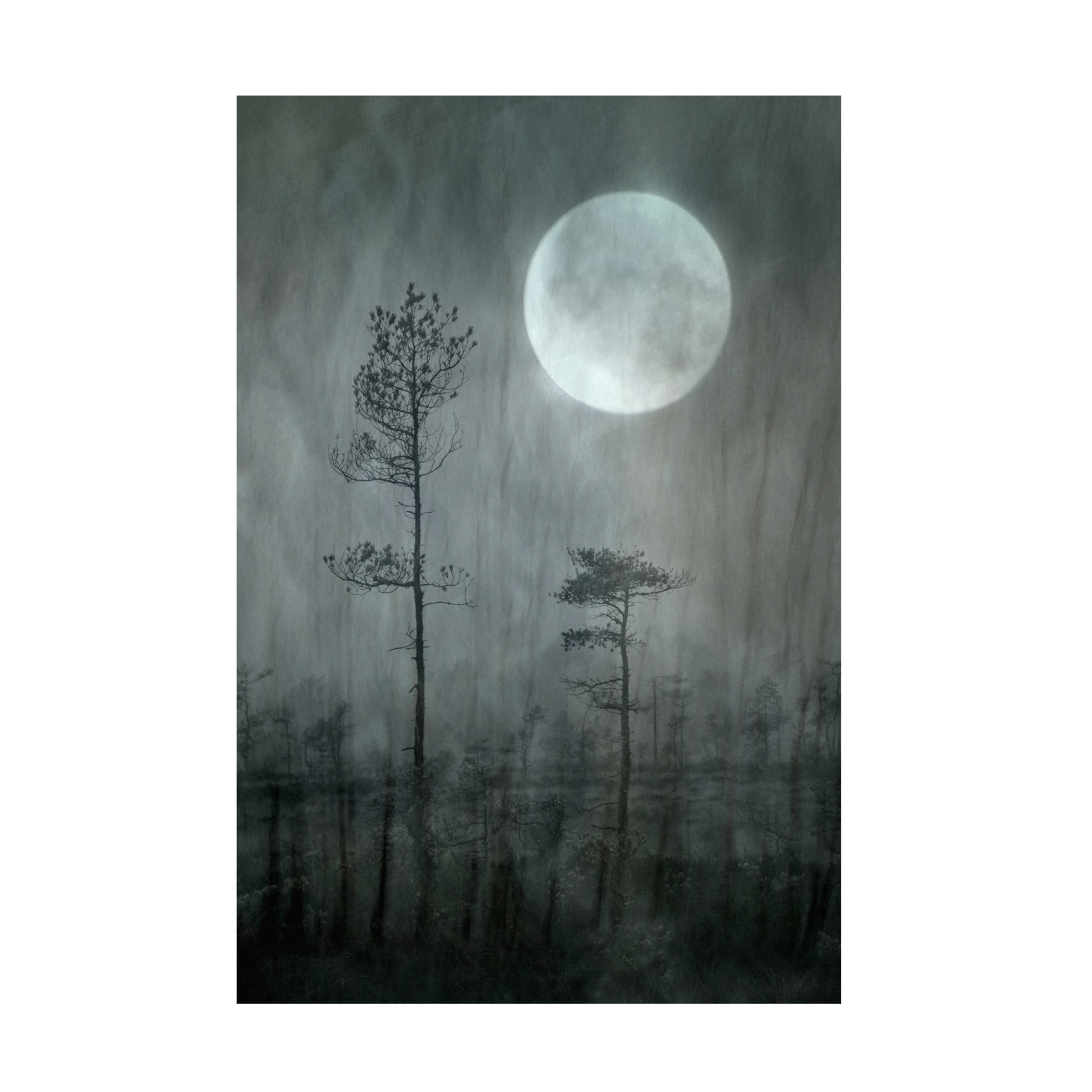 Canvas Wall Art - Christina Sillen 'Under The Moon' Wall Art for Living Room, Bedroom, or Office D?cor by Trademark Fine Art - 22 x 32 Inches