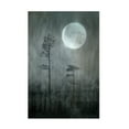 thumbnail image 1 of Canvas Wall Art - Christina Sillen 'Under The Moon' Wall Art for Living Room, Bedroom, or Office D?cor by Trademark Fine Art - 30 x 47 Inches, 1 of 4