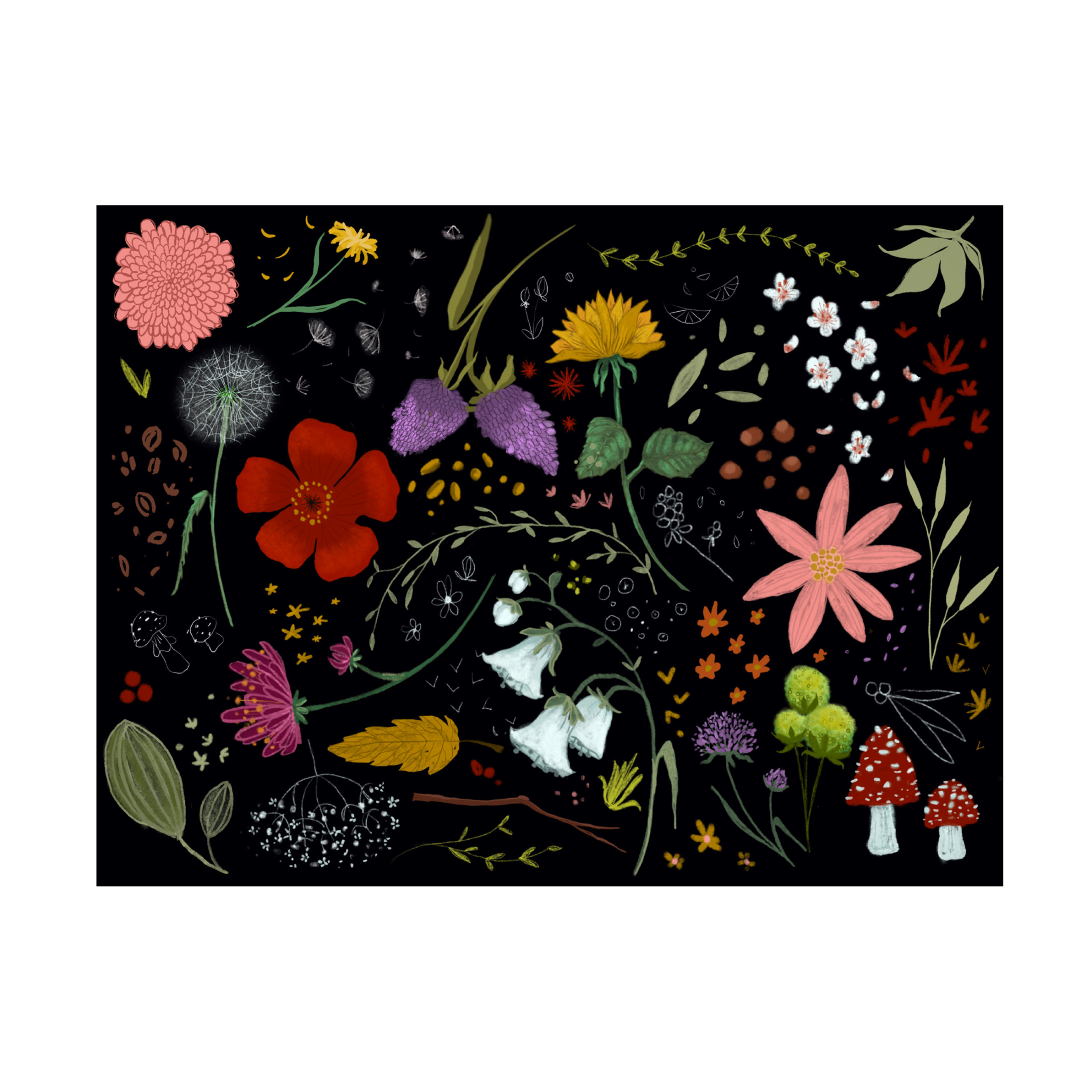 Canvas Wall Art - Christine Rotolo 'Wildflowers' Wall Art for Living Room, Bedroom, or Office Décor by Trademark Fine Art - 24 x 18 Inches