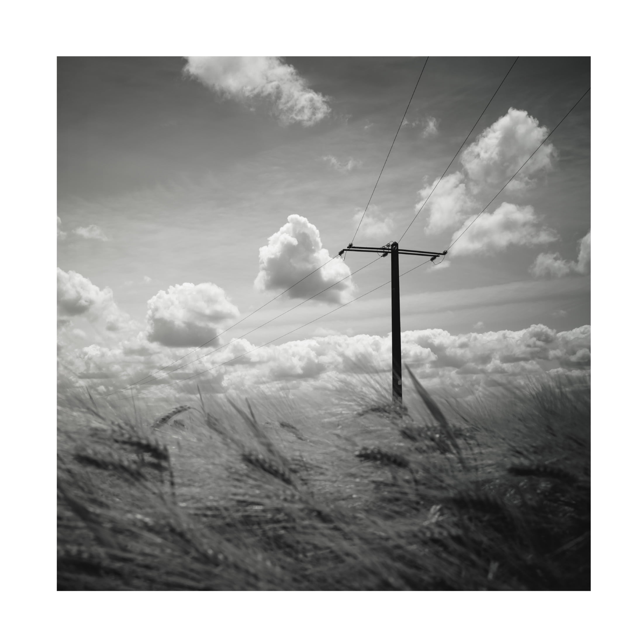 Canvas Wall Art - Christophe Staelens 'T' Wall Art for Living Room, Bedroom, or Office Décor by Trademark Fine Art - 18 x 18 Inches