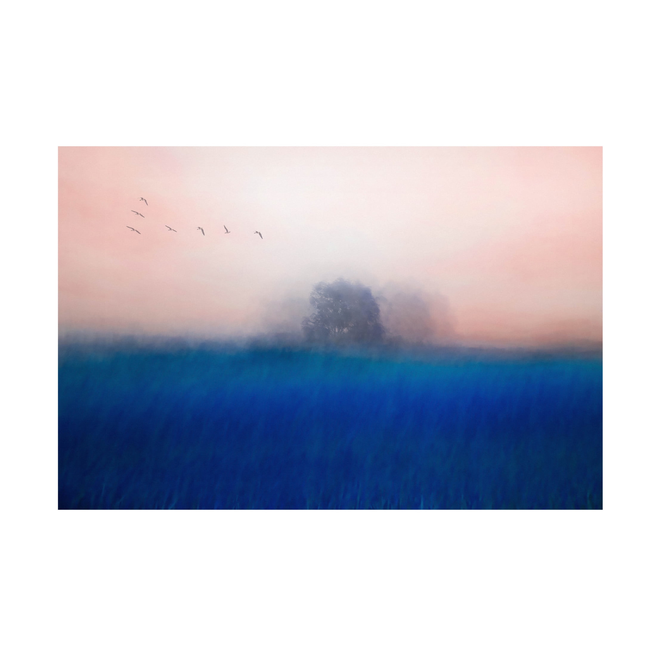 Canvas Wall Art - Chung Gook 'The Tree On The Blue' Wall Art for Living Room, Bedroom, or Office D?cor by Trademark Fine Art - 32 x 22 Inches