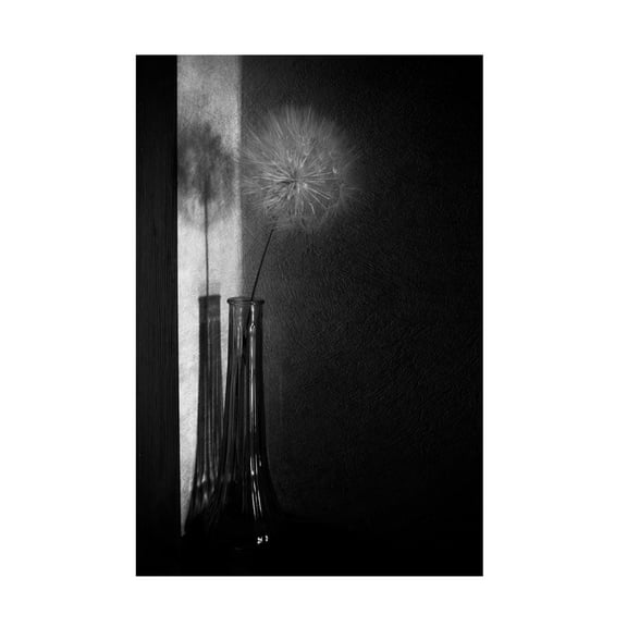 Canvas Wall Art - Cicek Kiral 'Alone In The Corner' Wall Art for Living Room, Bedroom, or Office Décor by Trademark Fine Art - 12 x 19 Inches