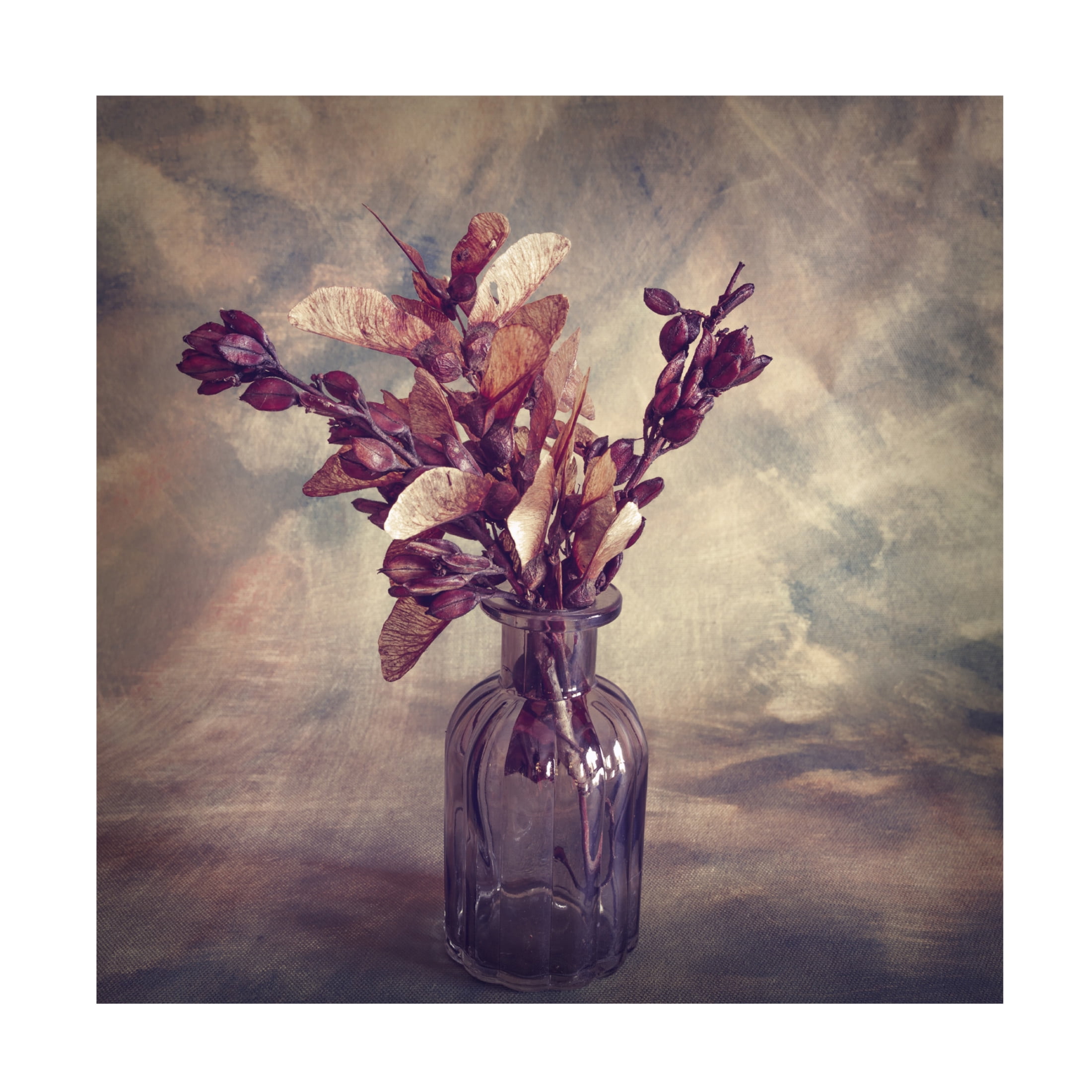Canvas Wall Art - Cicek Kiral 'Autumn Struck' Wall Art for Living Room, Bedroom, or Office D?cor by Trademark Fine Art - 14 x 14 Inches