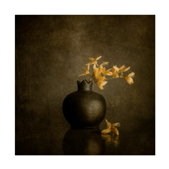 Canvas Wall Art - Cicek Kiral 'Calm Emotions' Wall Art for Living Room, Bedroom, or Office Décor by Trademark Fine Art - 14 x 14 Inches