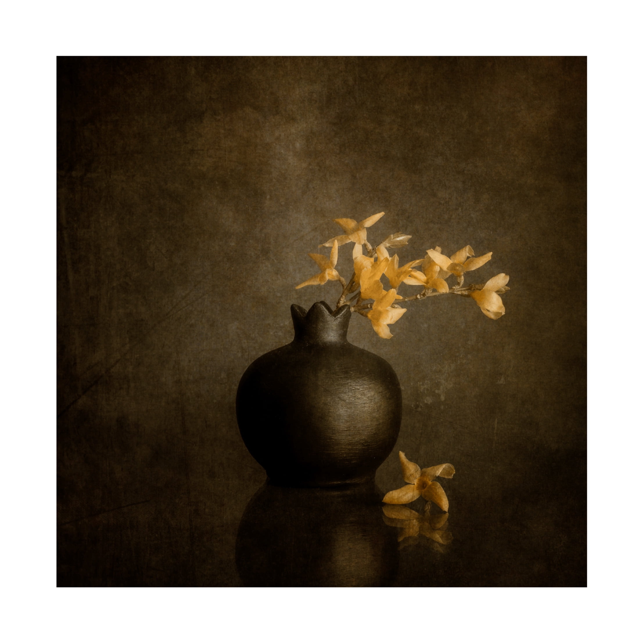 Canvas Wall Art - Cicek Kiral 'Calm Emotions' Wall Art for Living Room, Bedroom, or Office Décor by Trademark Fine Art - 24 x 24 Inches