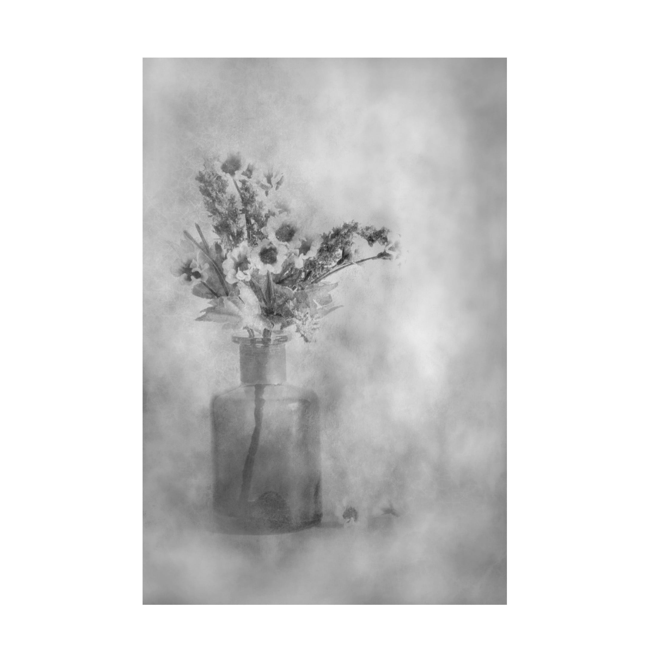Canvas Wall Art - Cicek Kiral 'Faded' Wall Art for Living Room, Bedroom, or Office Décor by Trademark Fine Art - 16 x 24 Inches