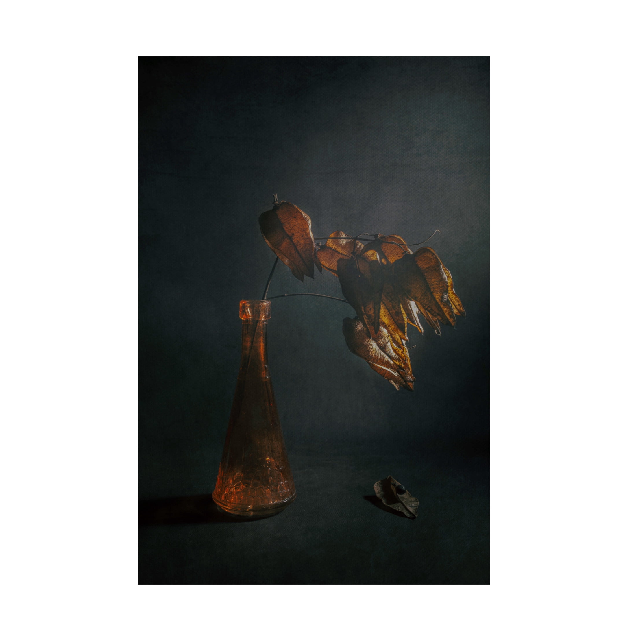 Canvas Wall Art - Cicek Kiral 'Moonstruck' Wall Art for Living Room, Bedroom, or Office Décor by Trademark Fine Art - 16 x 24 Inches