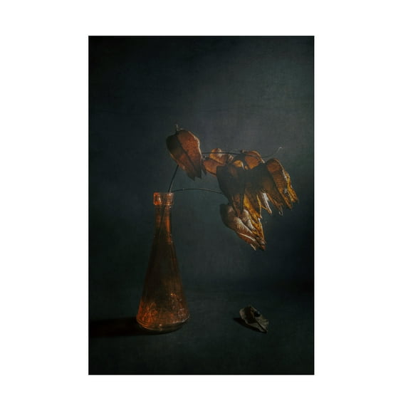 Canvas Wall Art - Cicek Kiral 'Moonstruck' Wall Art for Living Room, Bedroom, or Office Décor by Trademark Fine Art - 16 x 24 Inches