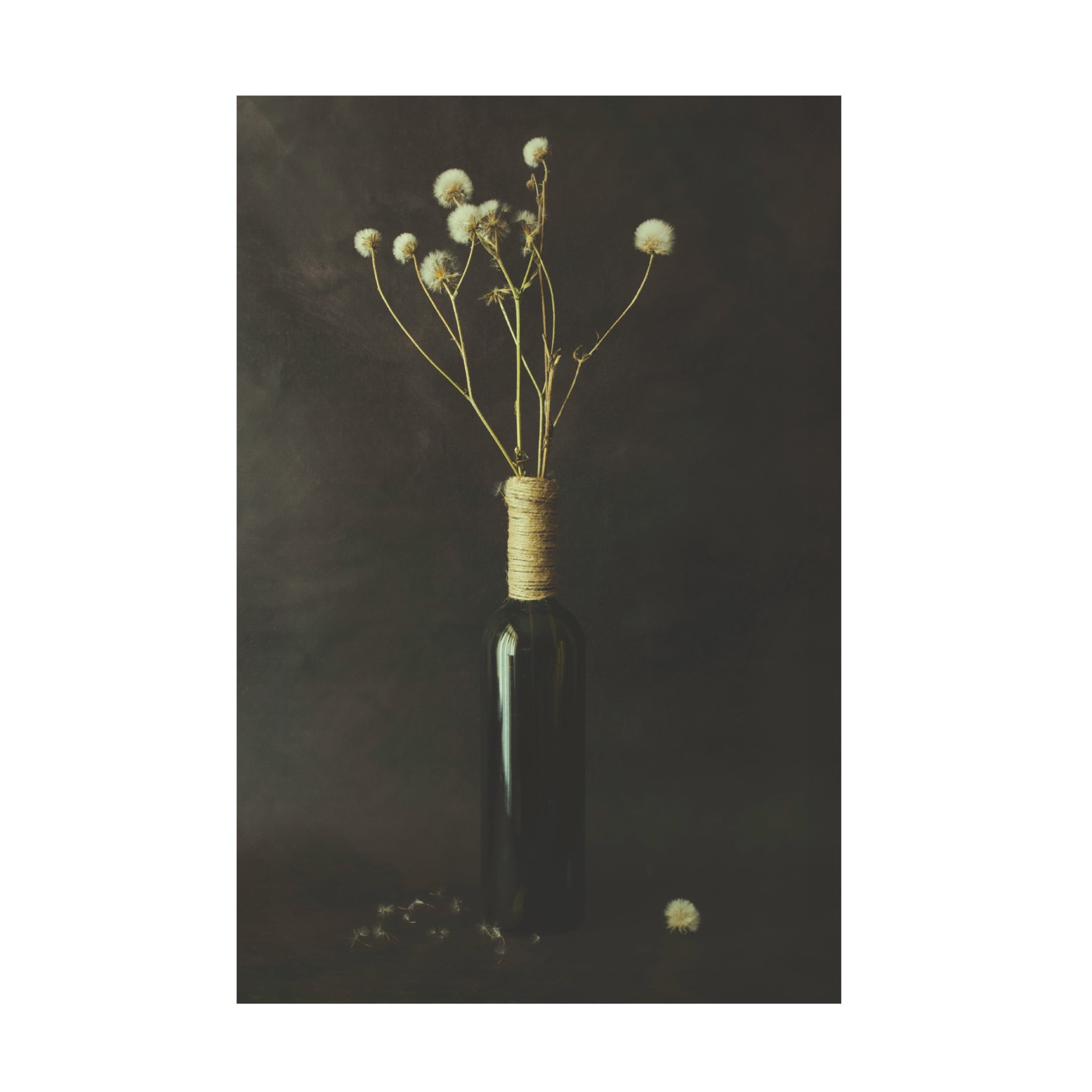 Canvas Wall Art - Cicek Kiral 'Pure' Wall Art for Living Room, Bedroom, or Office Décor by Trademark Fine Art - 30 x 47 Inches
