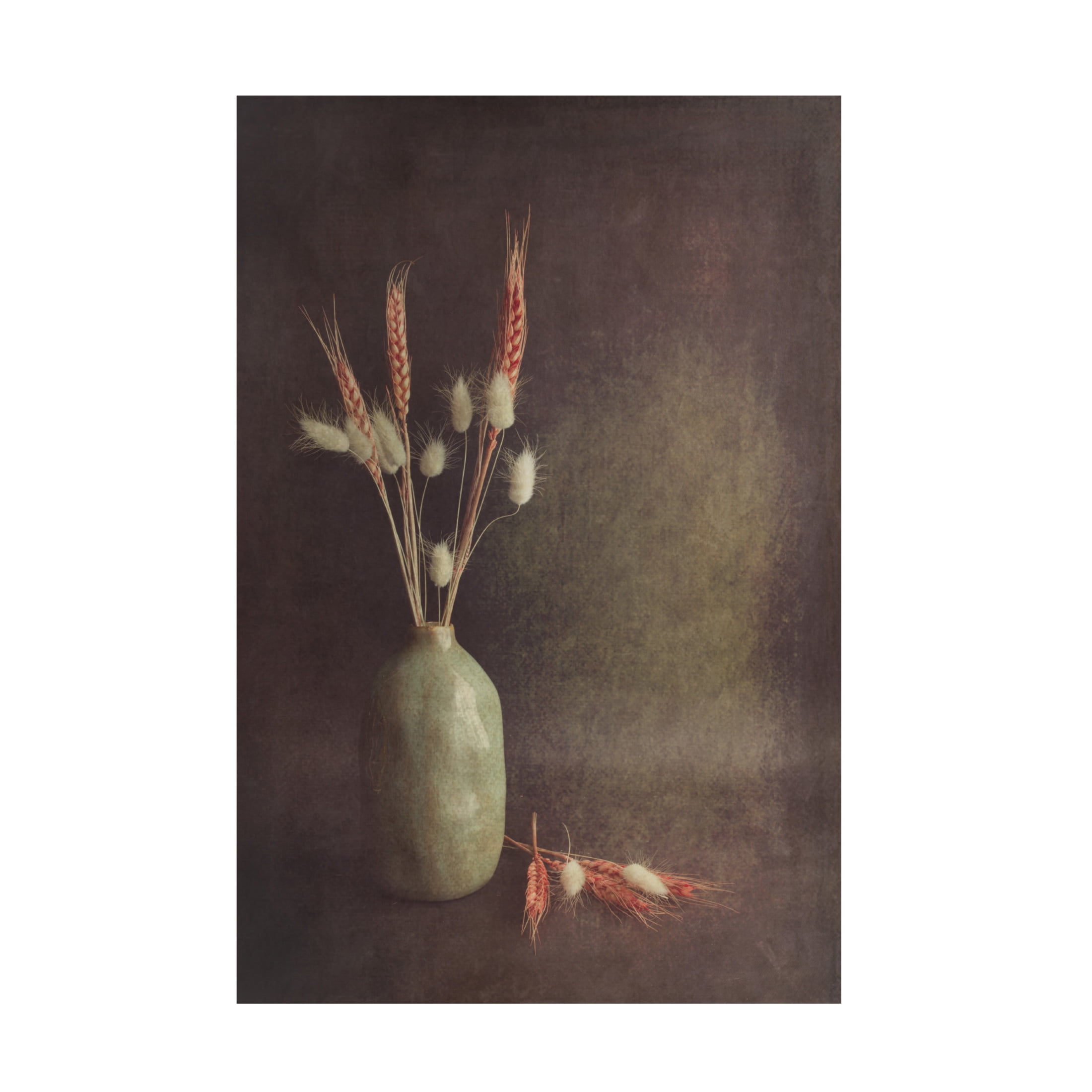 Canvas Wall Art - Cicek Kiral 'Soft Lines' Wall Art for Living Room, Bedroom, or Office Décor by Trademark Fine Art - 16 x 24 Inches