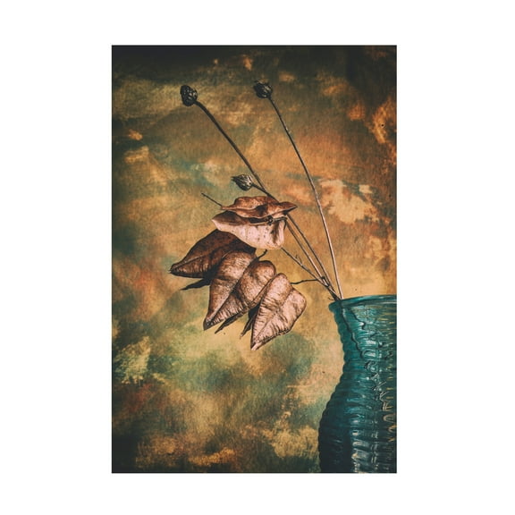 Canvas Wall Art - Cicek Kiral 'Split' Wall Art for Living Room, Bedroom, or Office Décor by Trademark Fine Art - 12 x 19 Inches