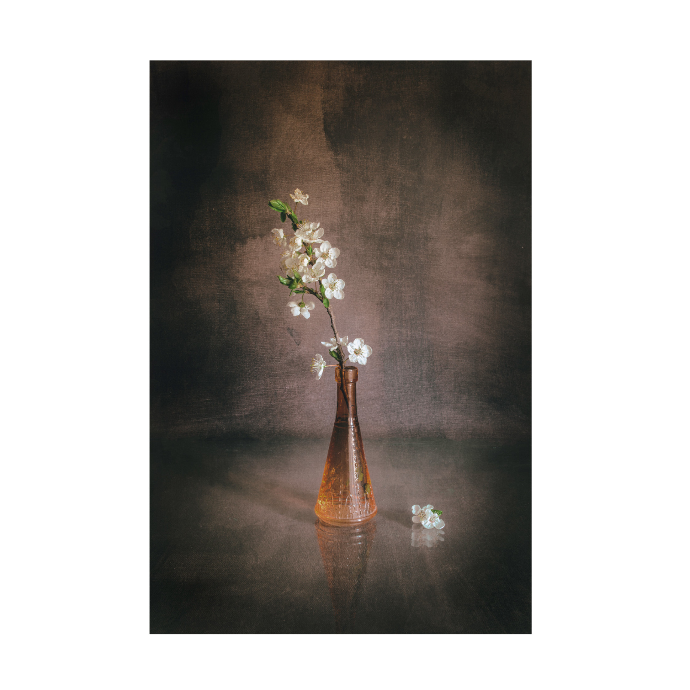 Canvas Wall Art - Cicek Kiral 'Spring Flowers' Wall Art for Living Room, Bedroom, or Office Décor by Trademark Fine Art - 30 x 47 Inches