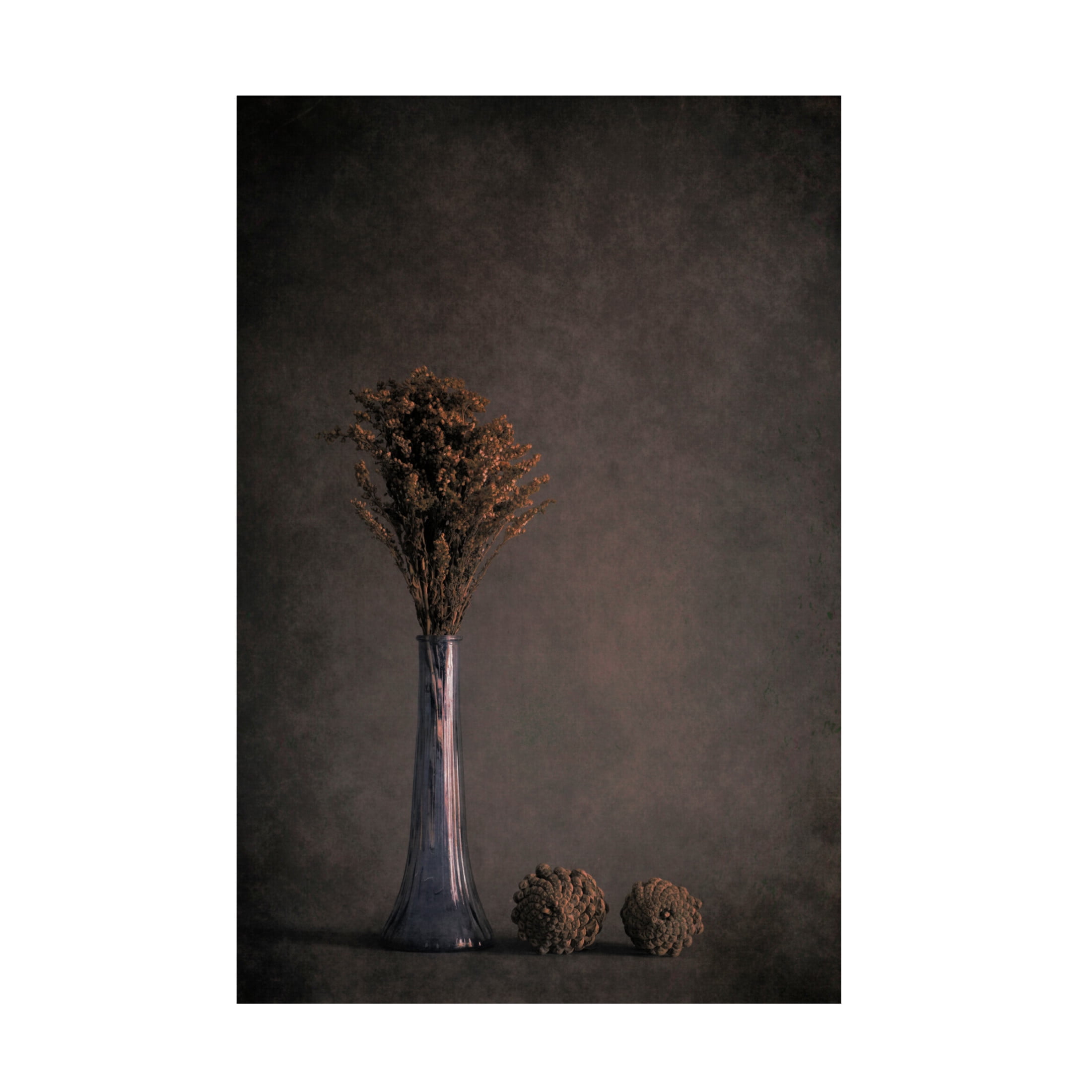 Canvas Wall Art - Cicek Kiral 'Standing Tall' Wall Art for Living Room, Bedroom, or Office Décor by Trademark Fine Art - 12 x 19 Inches