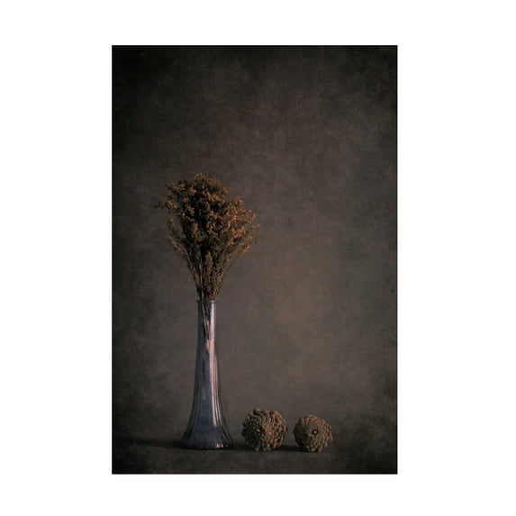 Canvas Wall Art - Cicek Kiral 'Standing Tall' Wall Art for Living Room, Bedroom, or Office Décor by Trademark Fine Art - 30 x 47 Inches