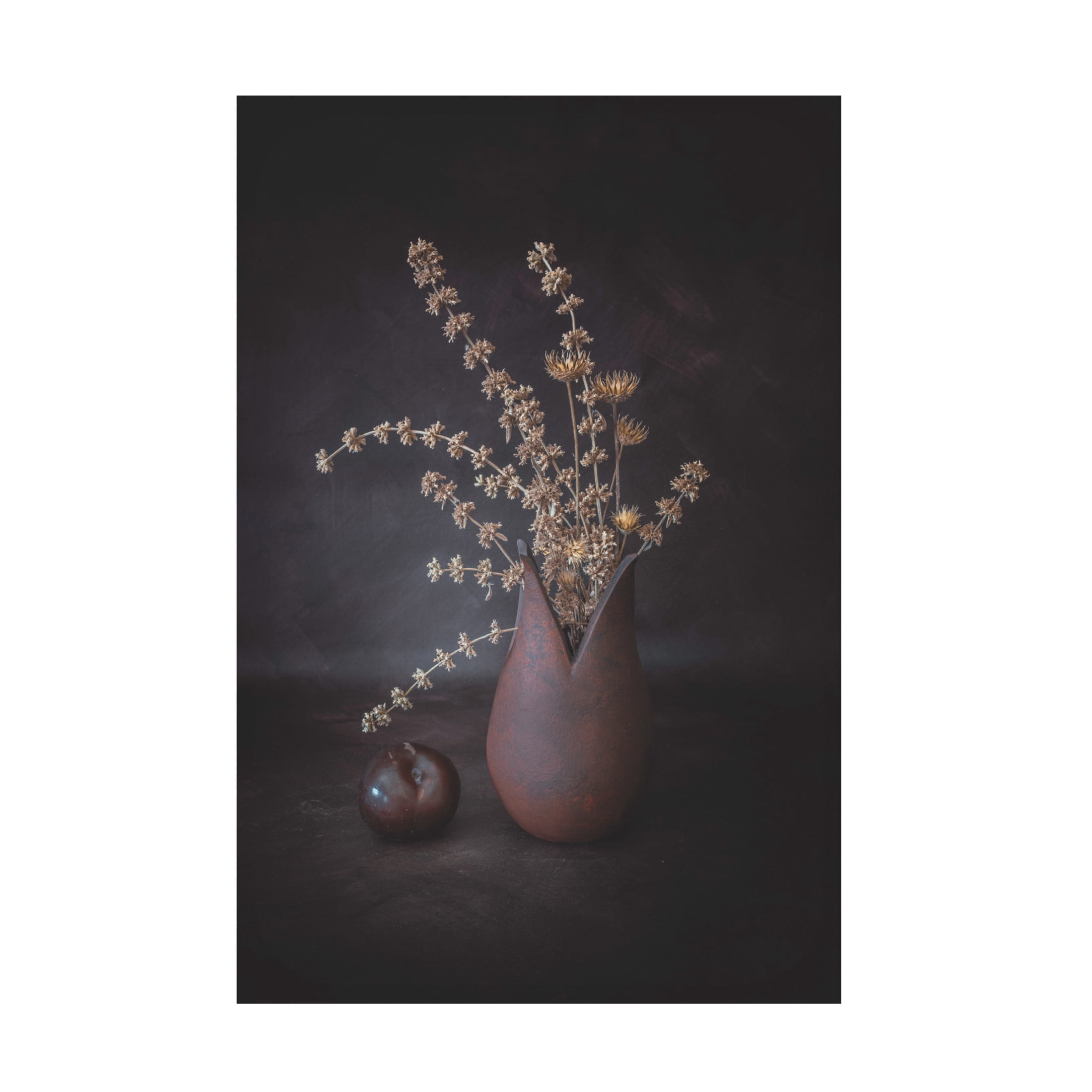 Canvas Wall Art - Cicek Kiral 'The Plum' Wall Art for Living Room, Bedroom, or Office Décor by Trademark Fine Art - 30 x 47 Inches