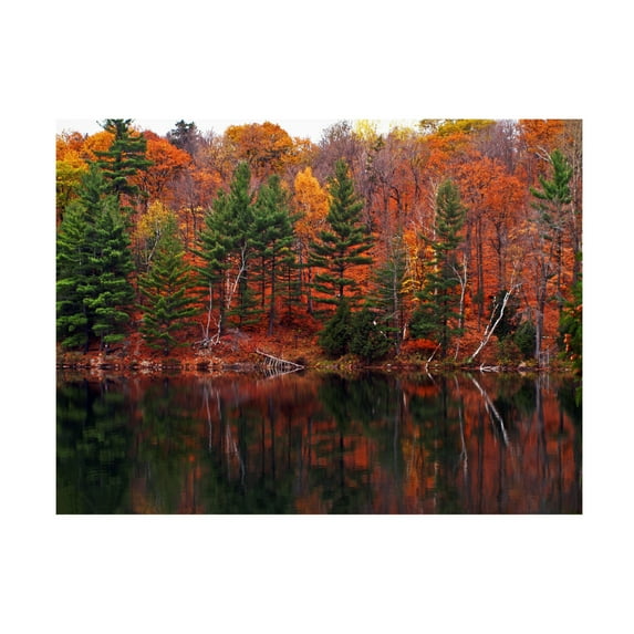 Canvas Wall Art - Clive Branson 'Meech Lake Reflections' Wall Art for Living Room, Bedroom, or Office Décor by Trademark Fine Art - 19 x 14 Inches
