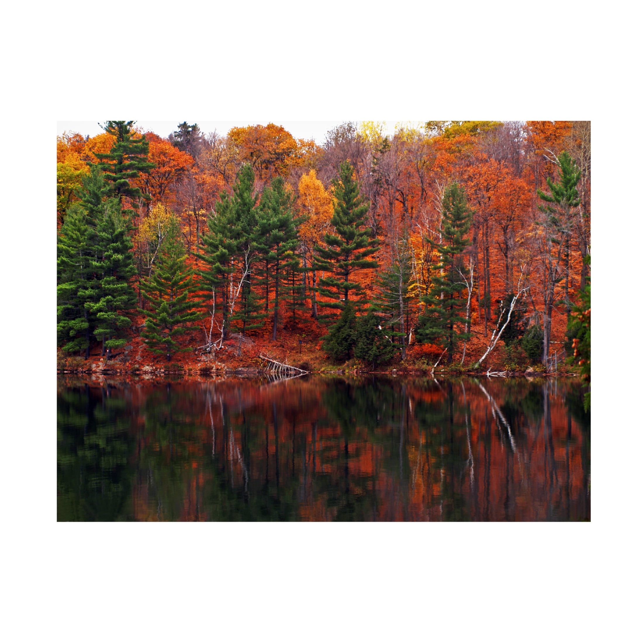 Canvas Wall Art - Clive Branson 'Meech Lake Reflections' Wall Art for Living Room, Bedroom, or Office Décor by Trademark Fine Art - 32 x 24 Inches