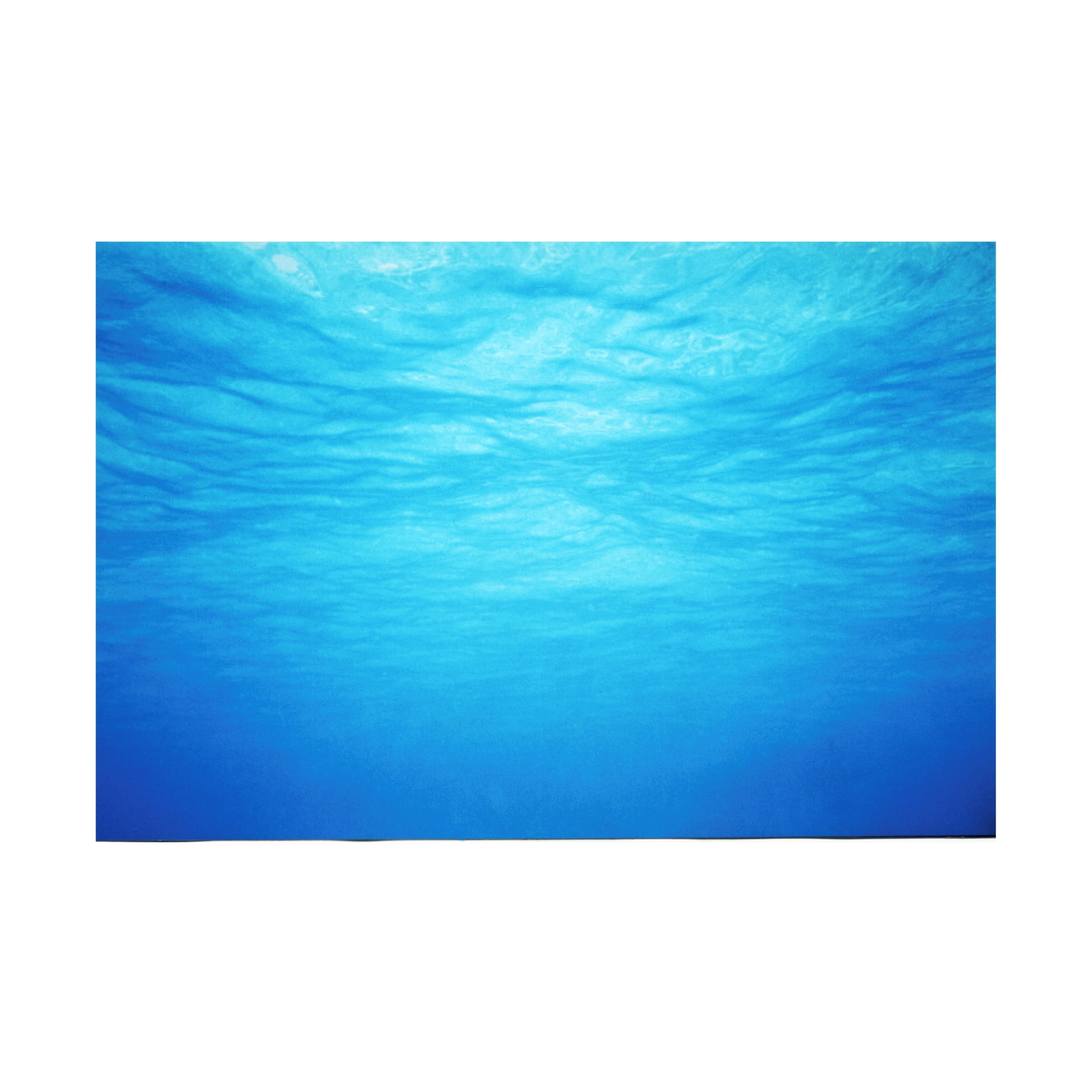Canvas Wall Art - Clive Branson 'Underwater' Wall Art for Living Room, Bedroom, or Office Décor by Trademark Fine Art - 19 x 12 Inches
