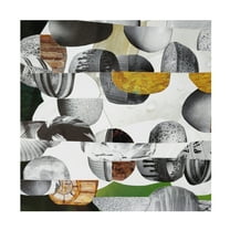 Canvas Wall Art - Coco Good 'Nubian Sundance II' Wall Art for Living Room, Bedroom, or Office Décor by Trademark Fine Art - 14 x 14 Inches